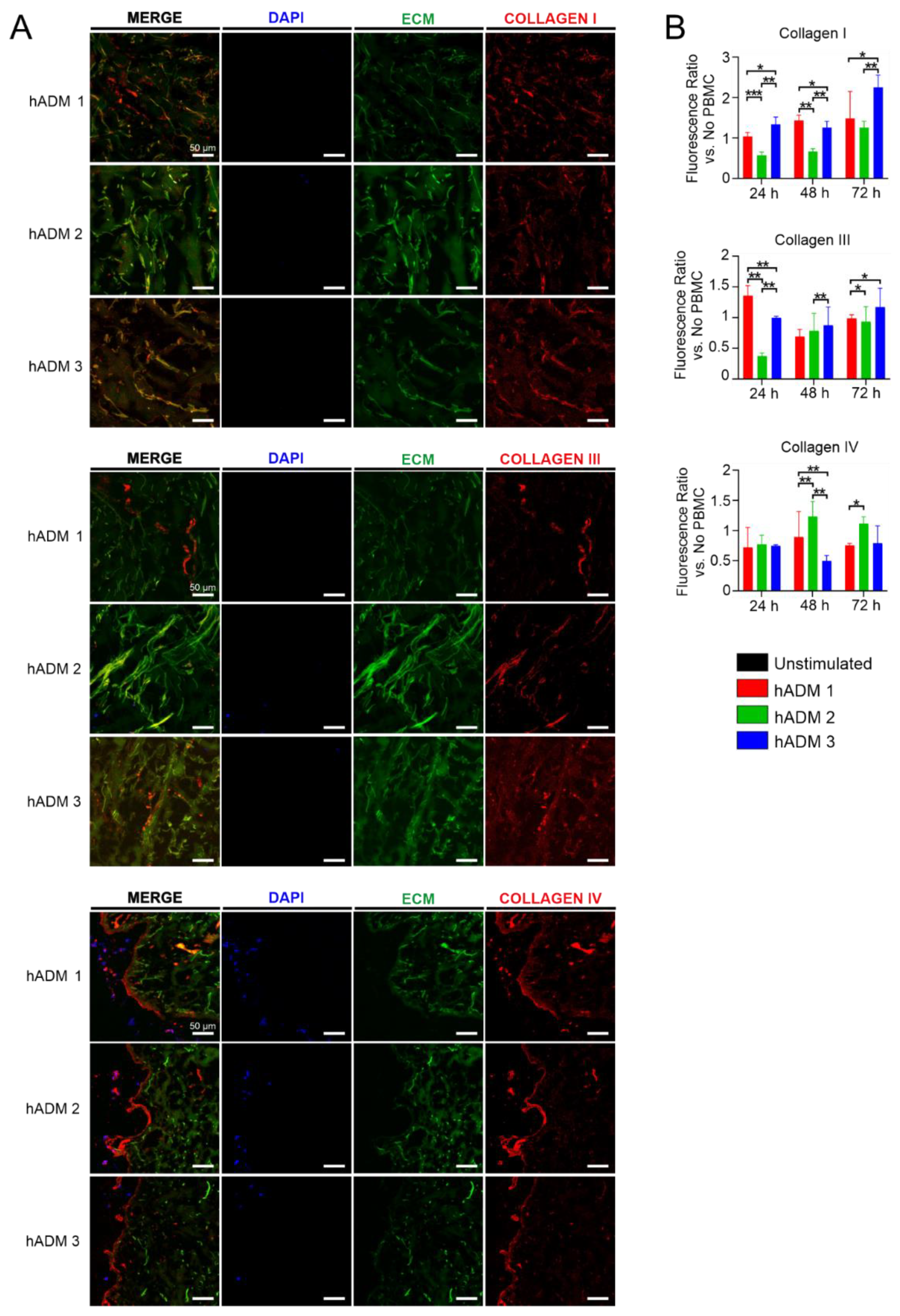 Pharmaceutics 13 02164 g005