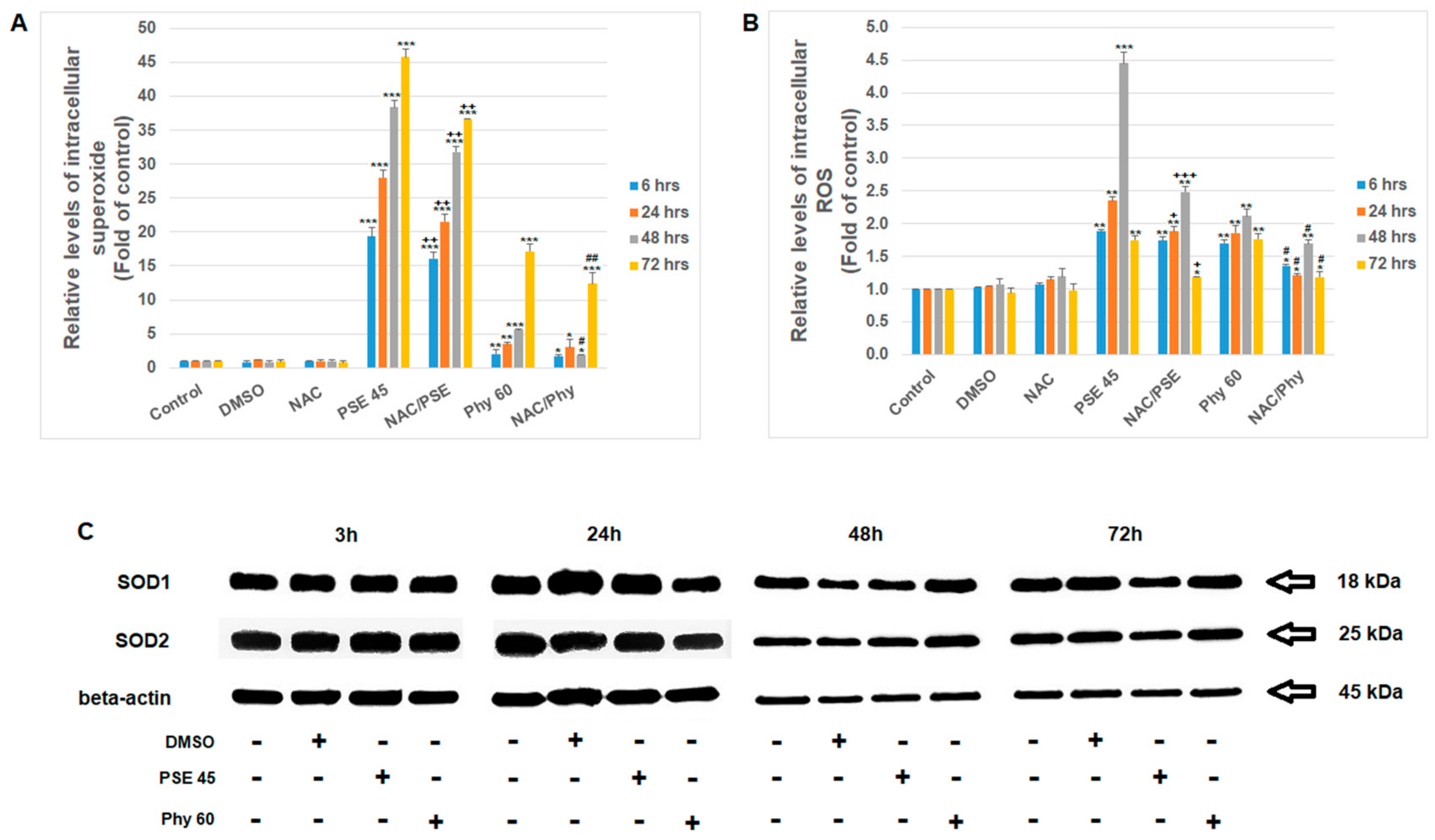 Pharmaceutics 13 02173 g003