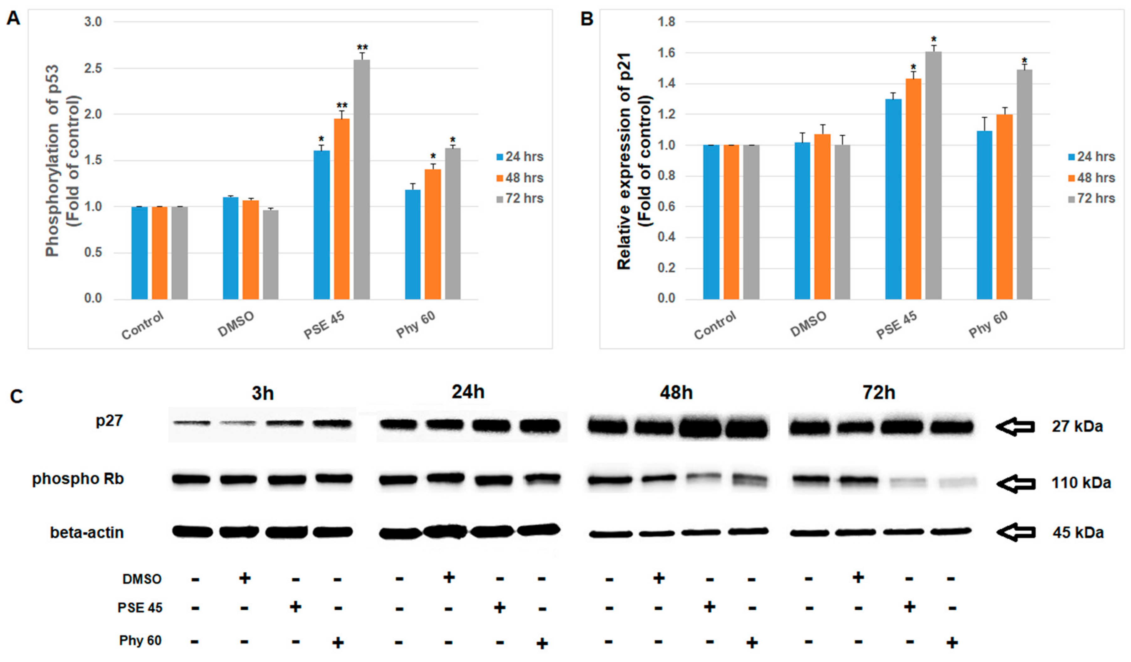 Pharmaceutics 13 02173 g006