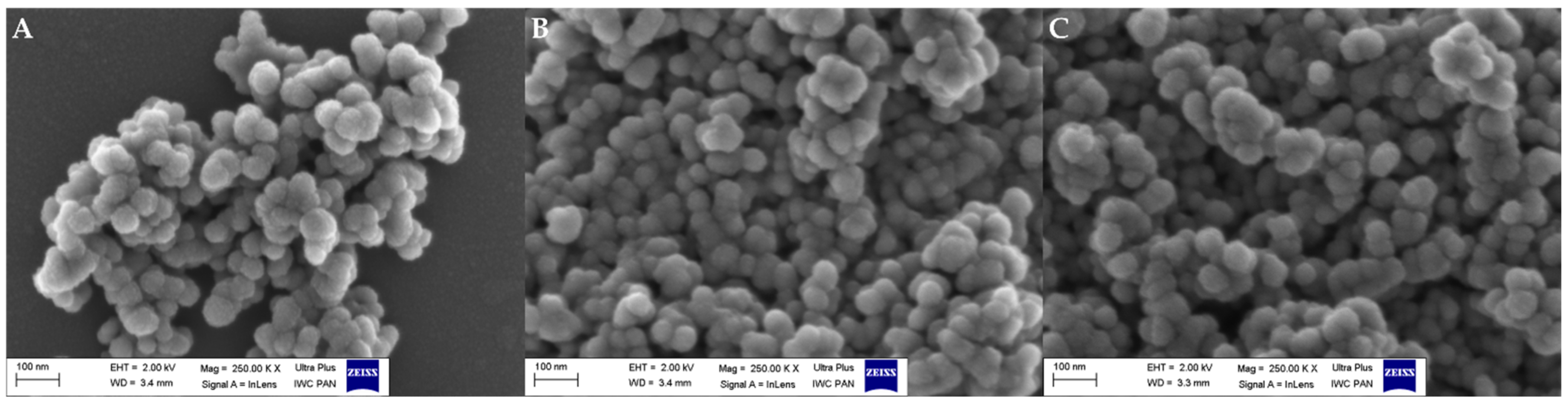Pharmaceutics 13 02174 g002