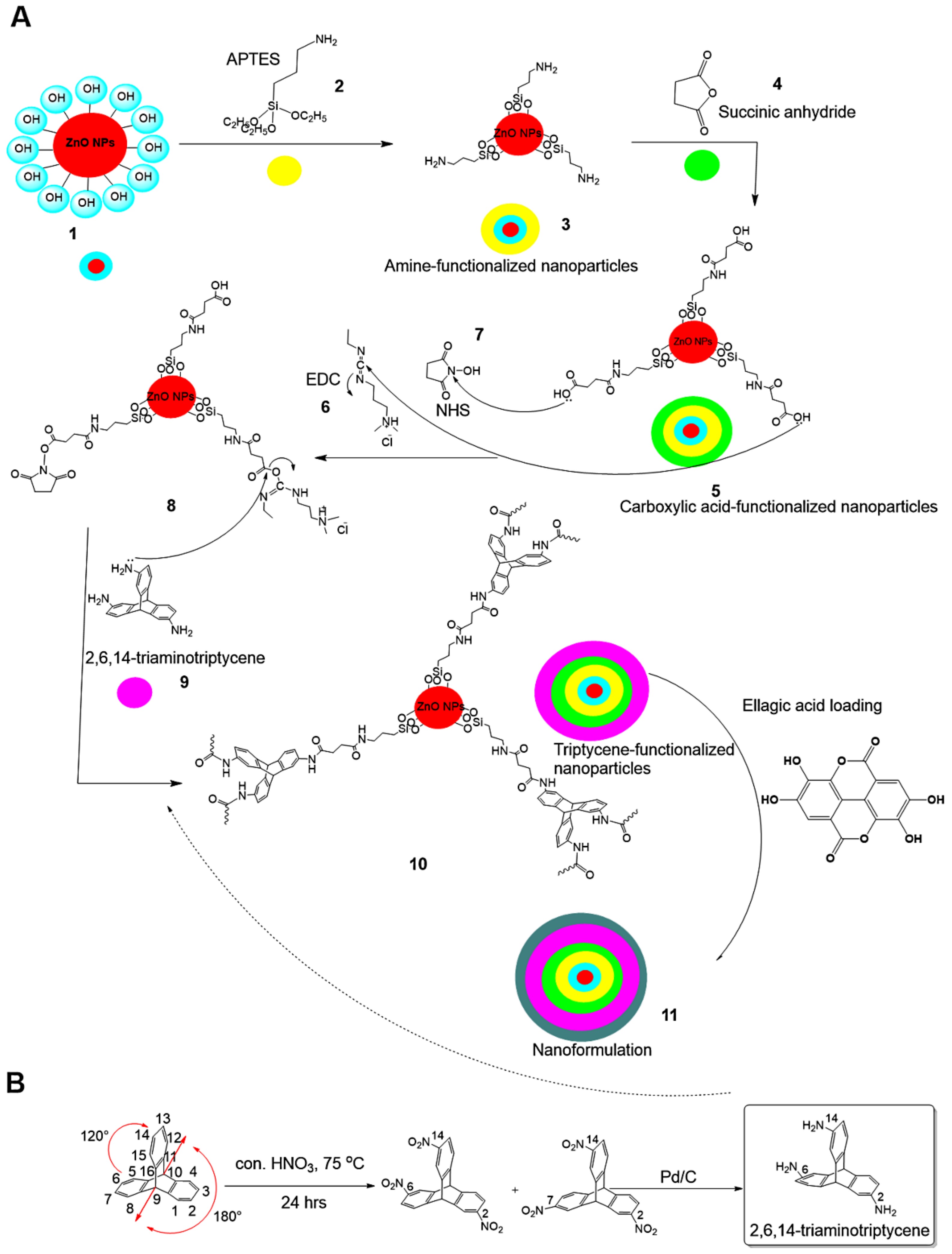 Pharmaceutics 13 02174 sch001