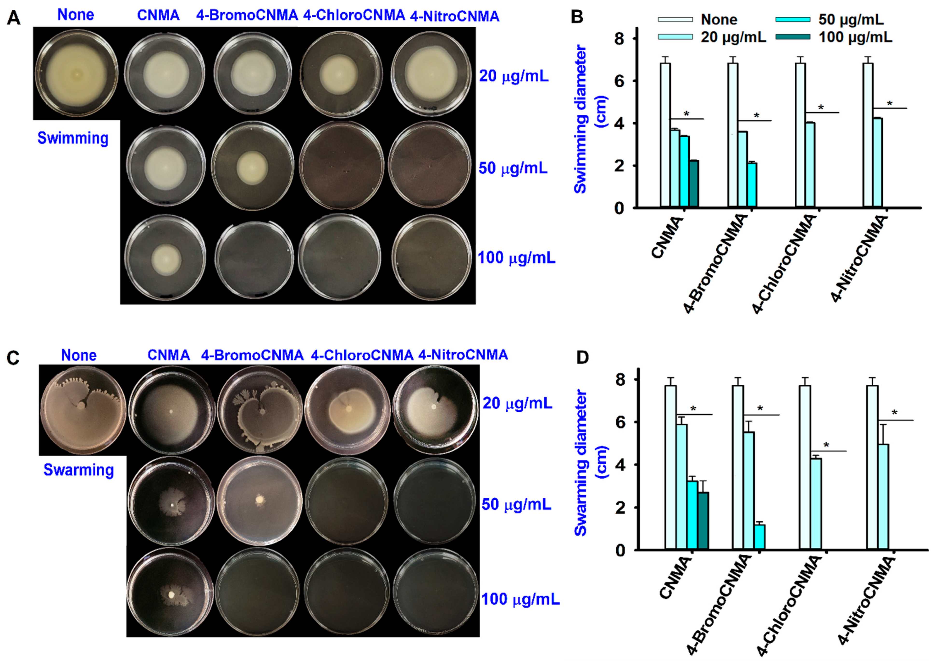 Pharmaceutics 13 02176 g003