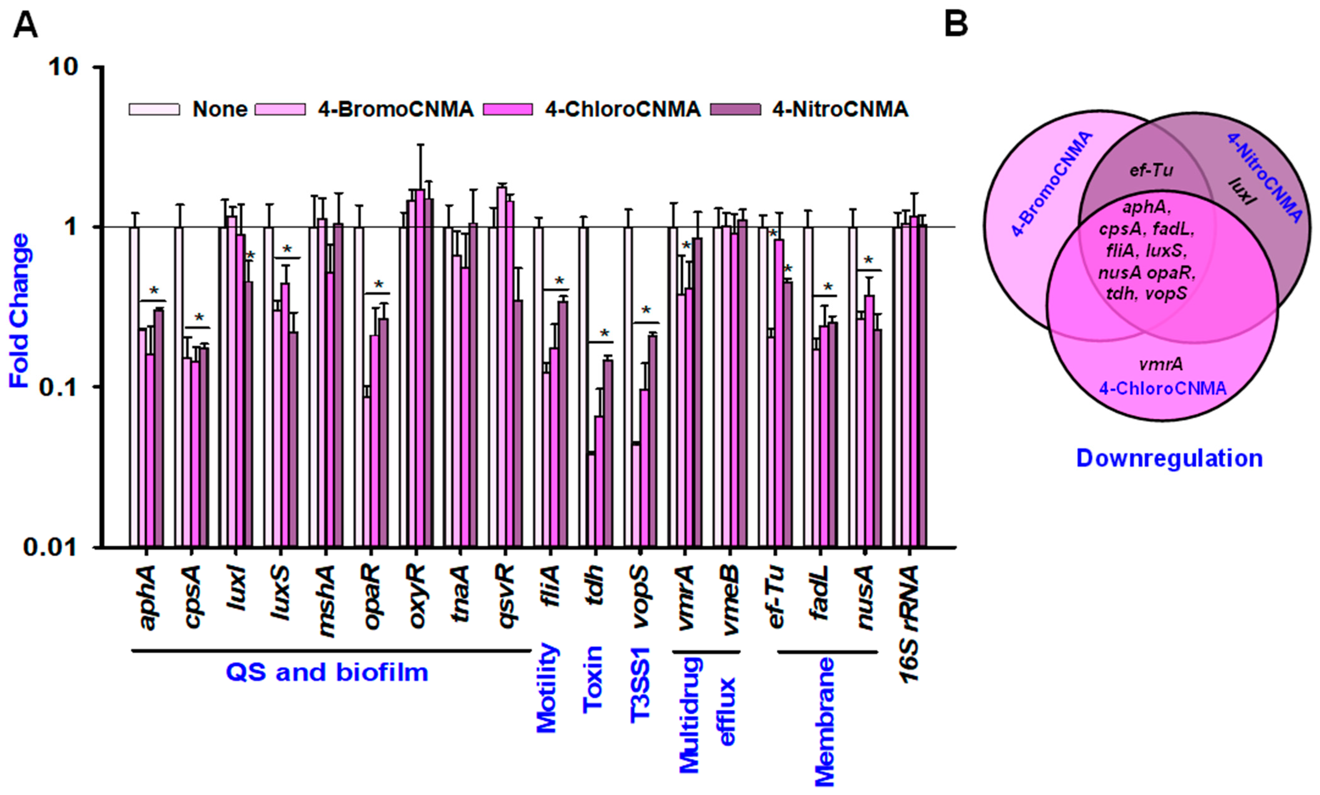 Pharmaceutics 13 02176 g006