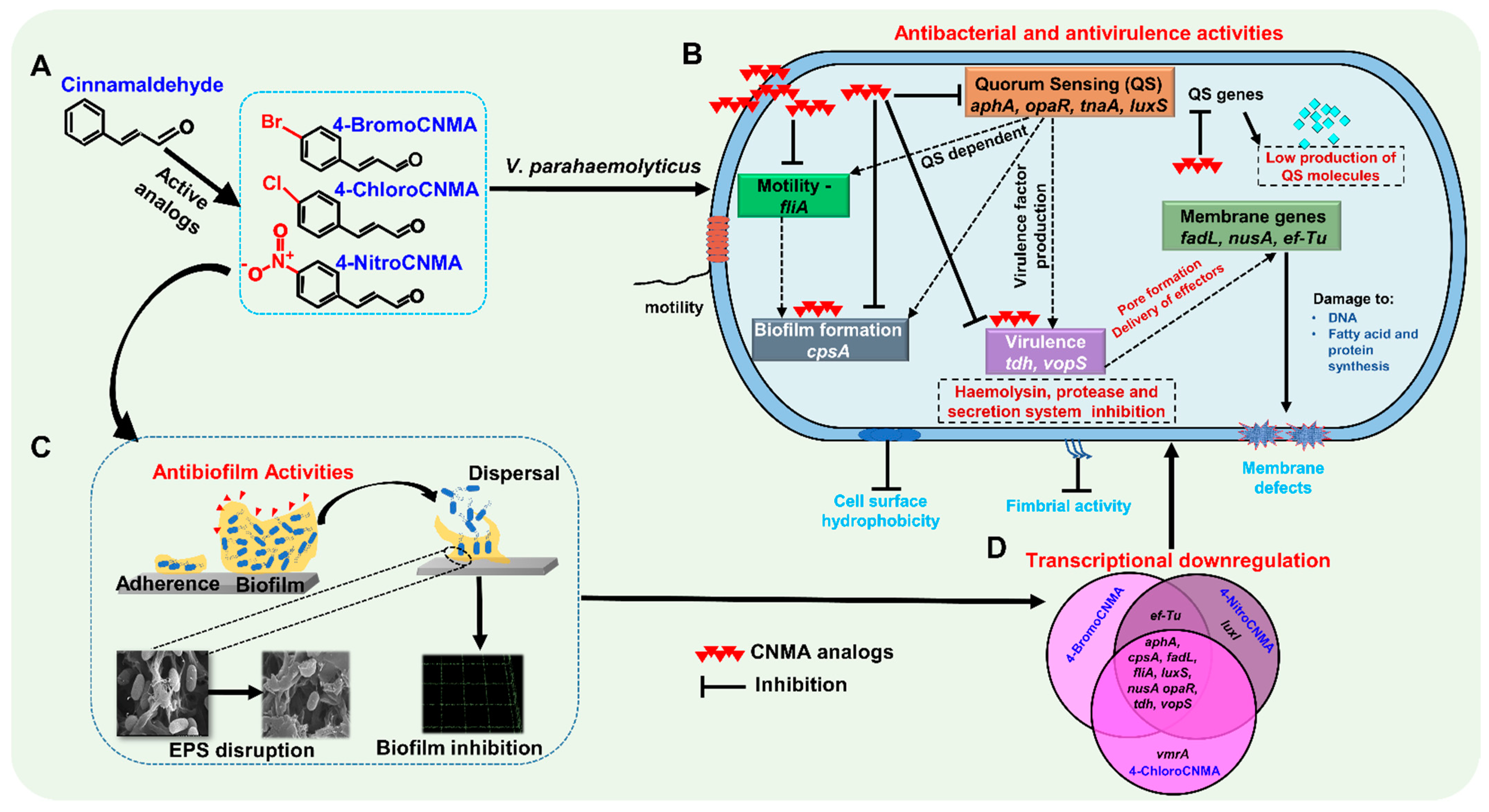 Pharmaceutics 13 02176 g007