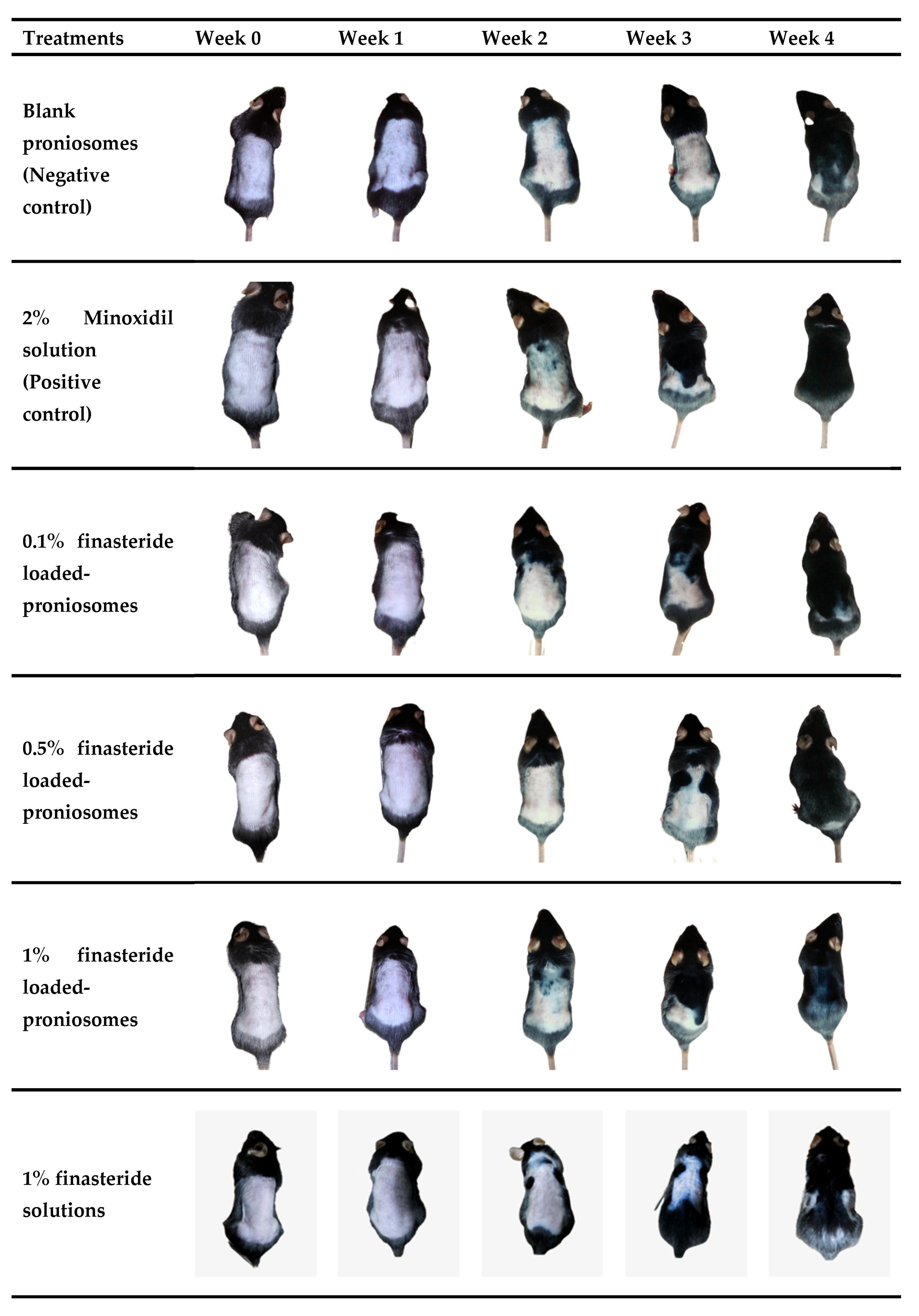 Pharmaceutics 13 02177 g008