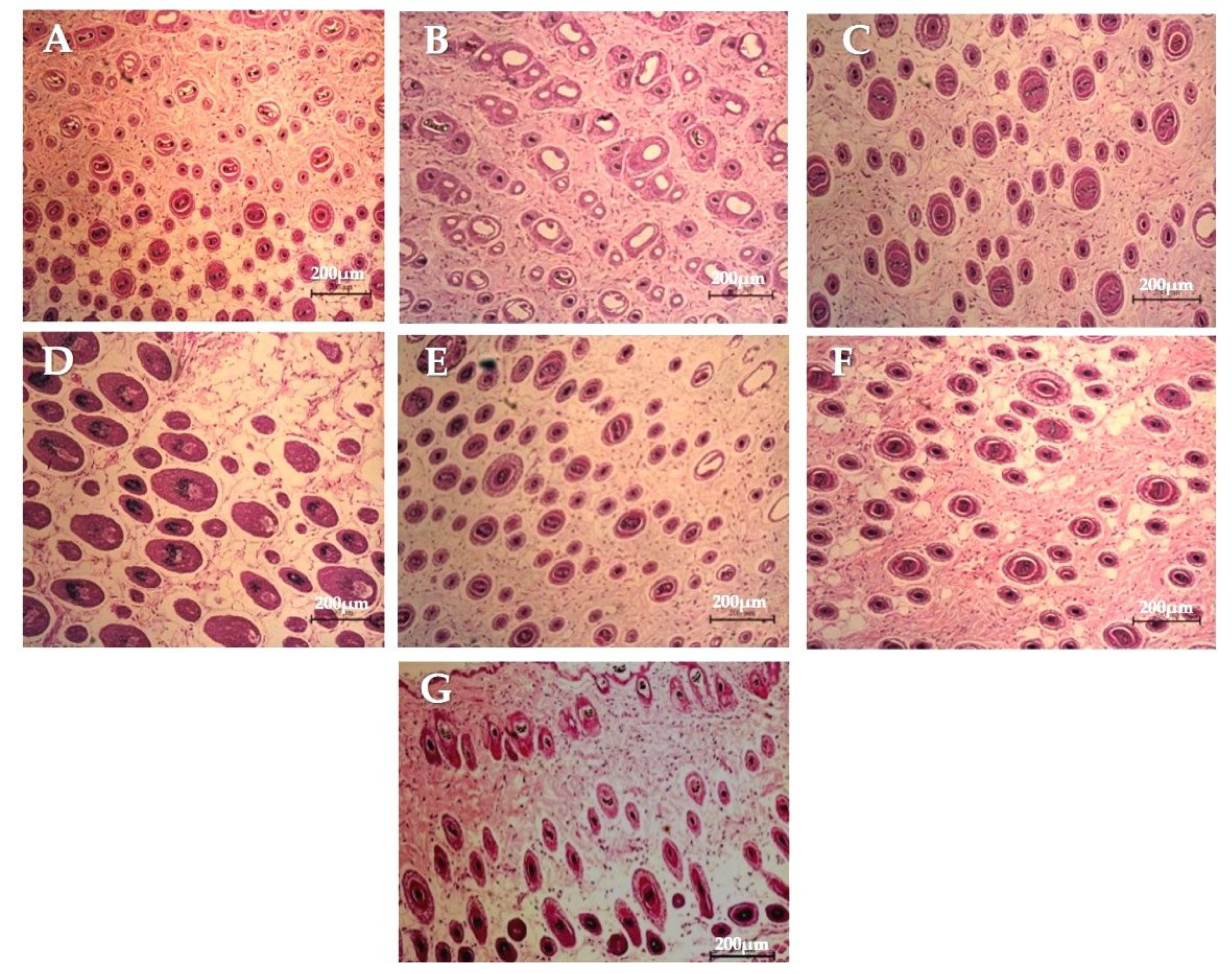 Pharmaceutics 13 02177 g010