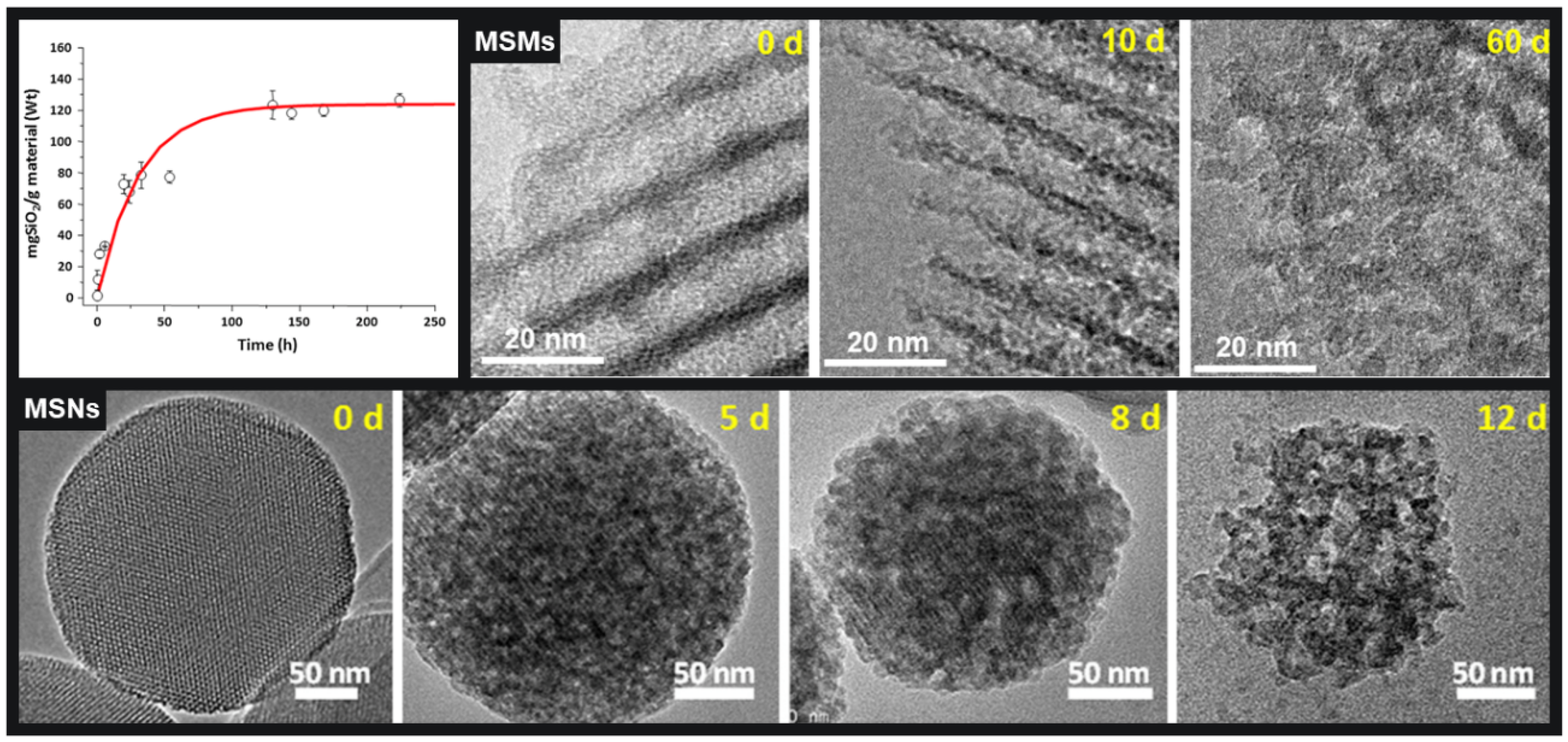 Pharmaceutics 13 02179 g002 Pharmaceutics 13 02179 g002