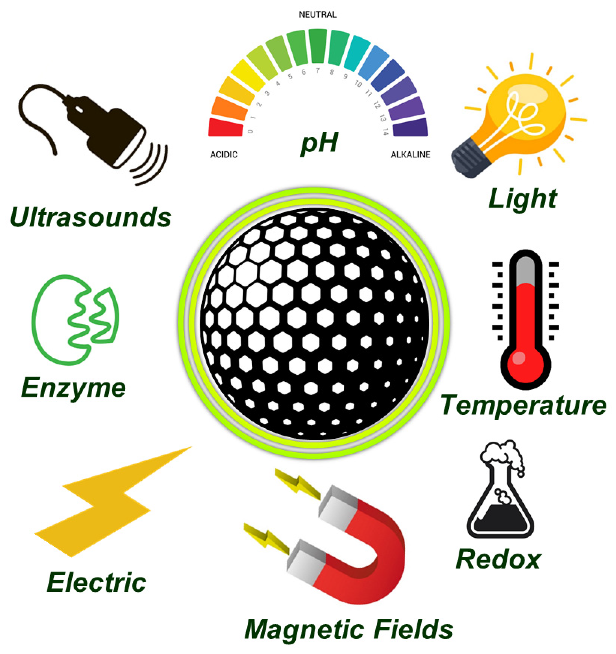 Pharmaceutics 13 02179 g003 Pharmaceutics 13 02179 g003