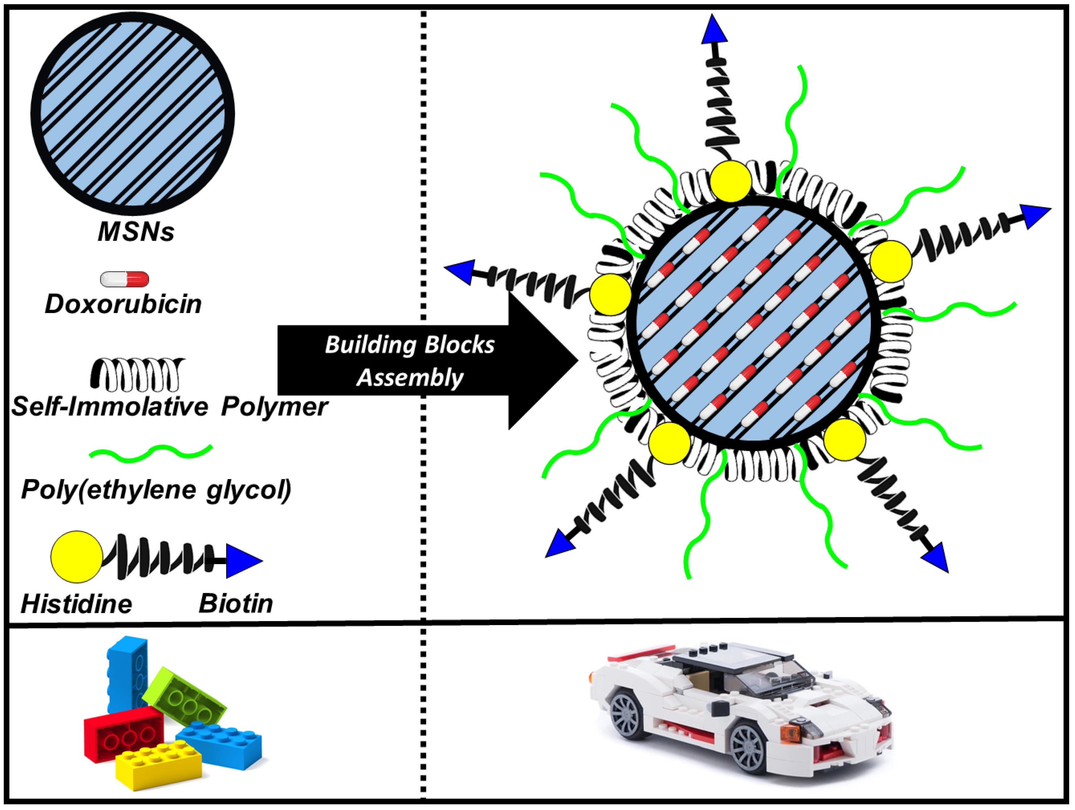 Pharmaceutics 13 02179 g004 Pharmaceutics 13 02179 g004