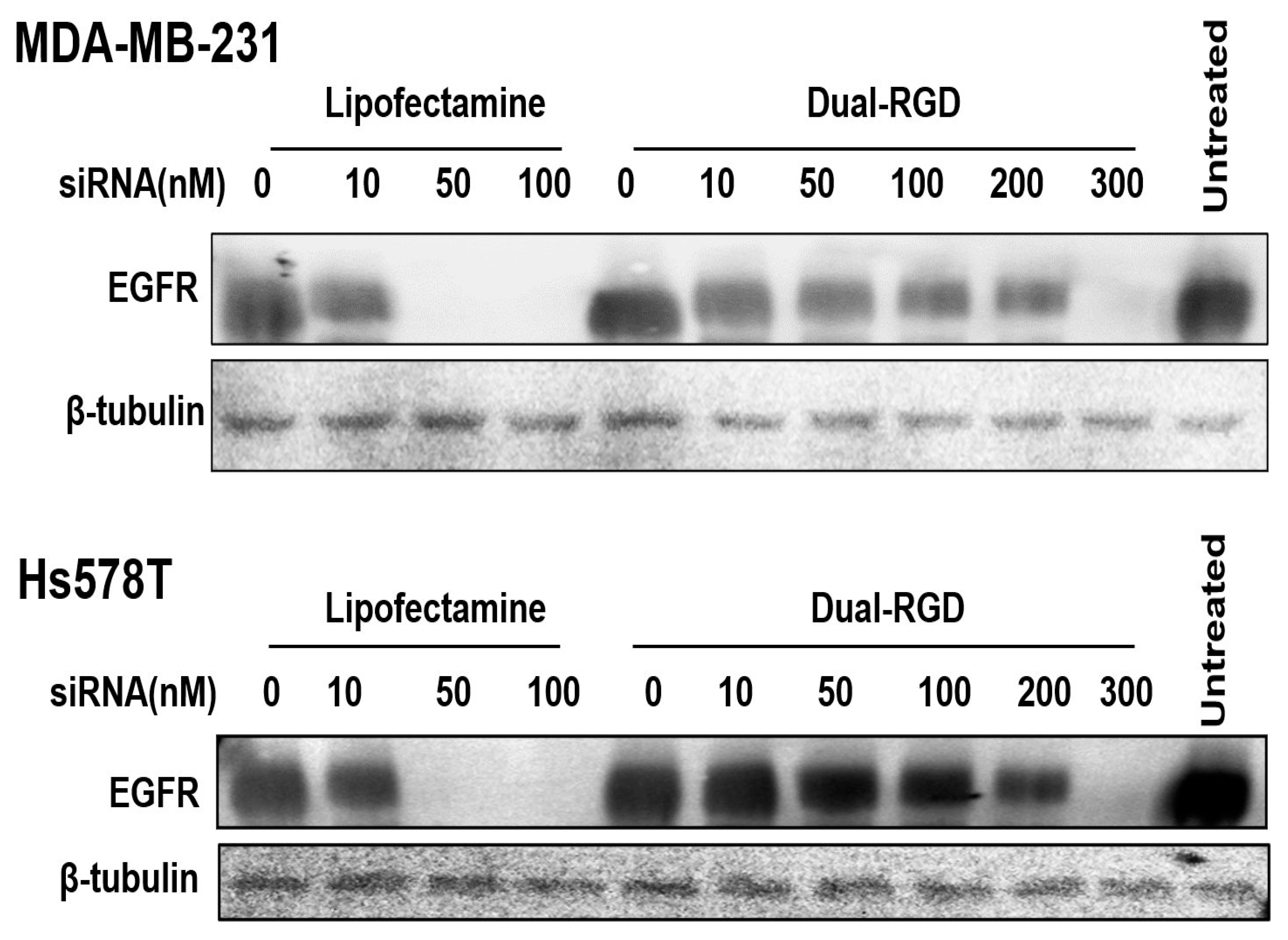 Pharmaceutics 13 02182 g005