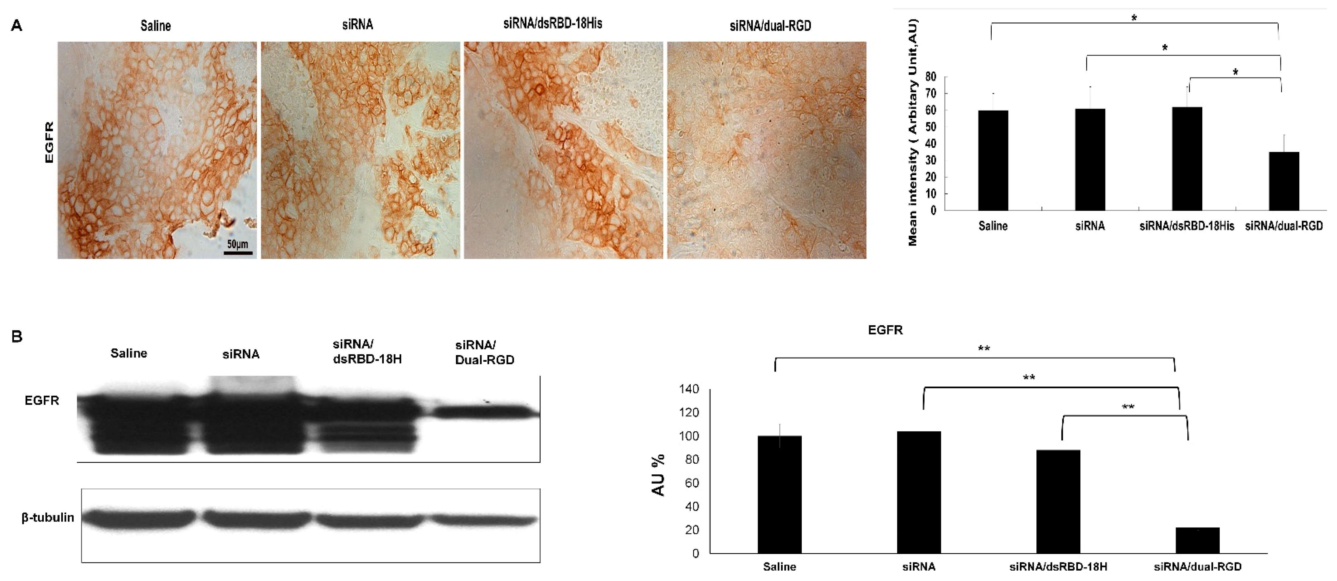Pharmaceutics 13 02182 g007