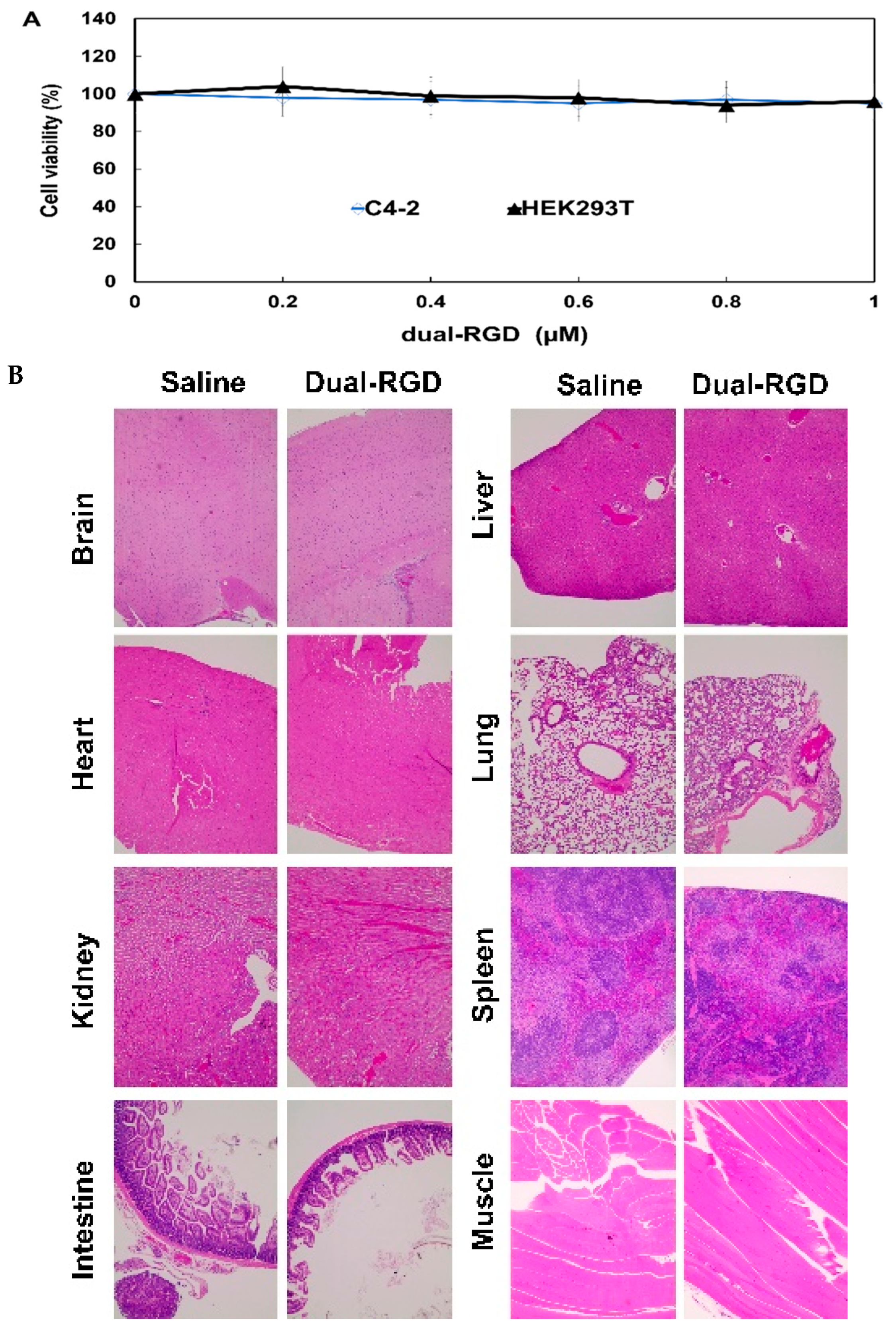Pharmaceutics 13 02182 g008
