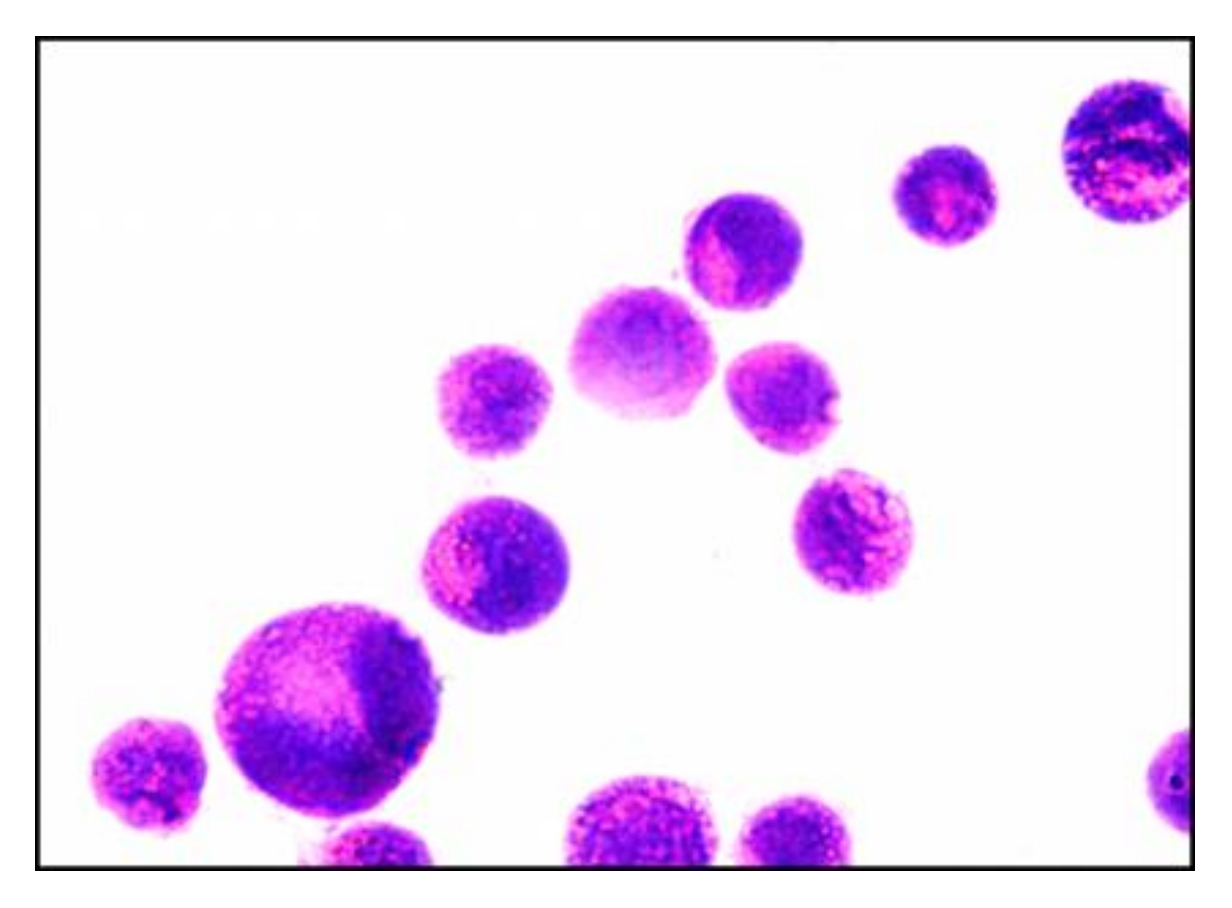 Pharmaceutics 13 02184 g005