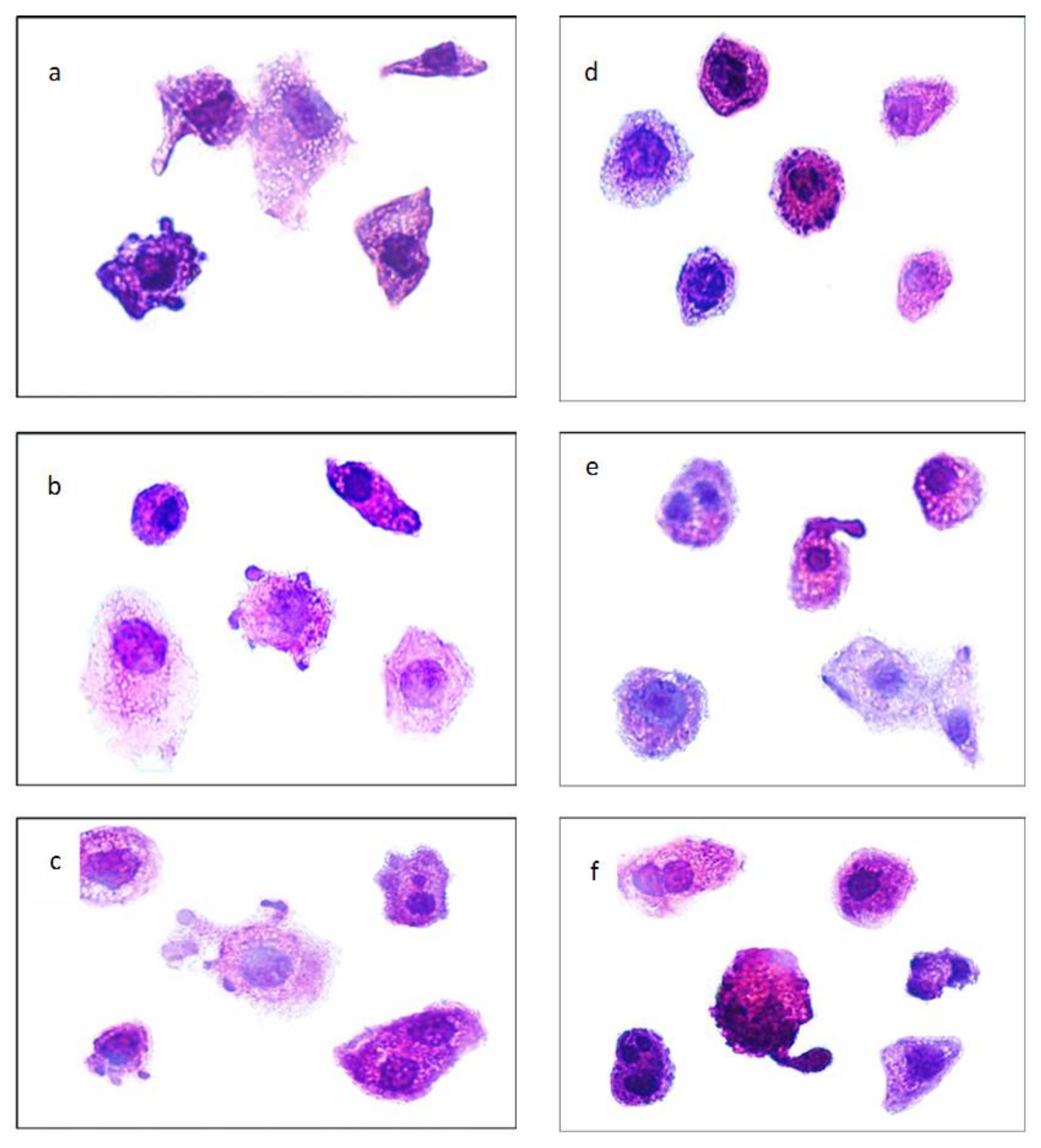 Pharmaceutics 13 02184 g006