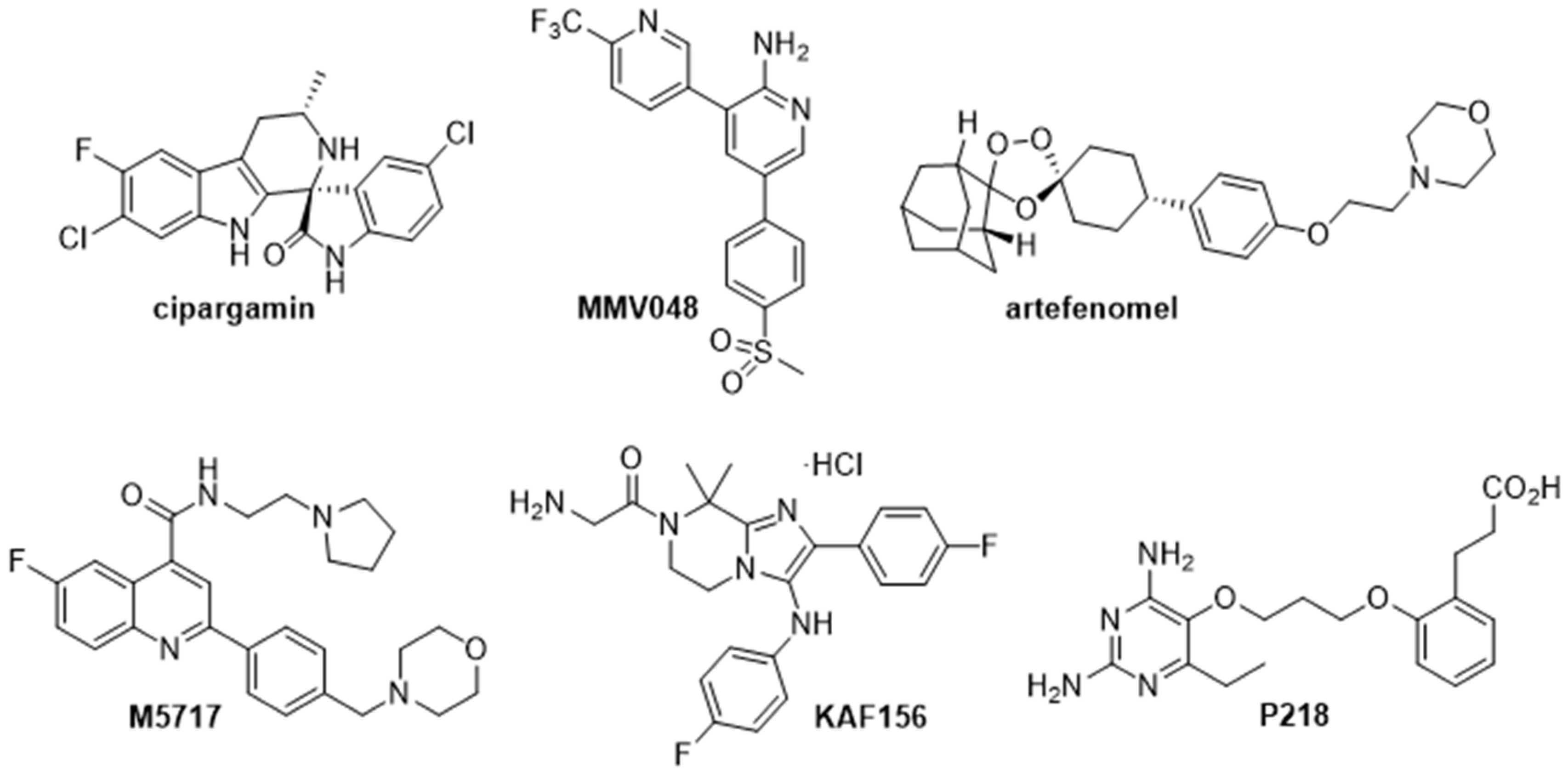 Pharmaceutics 13 02189 g003