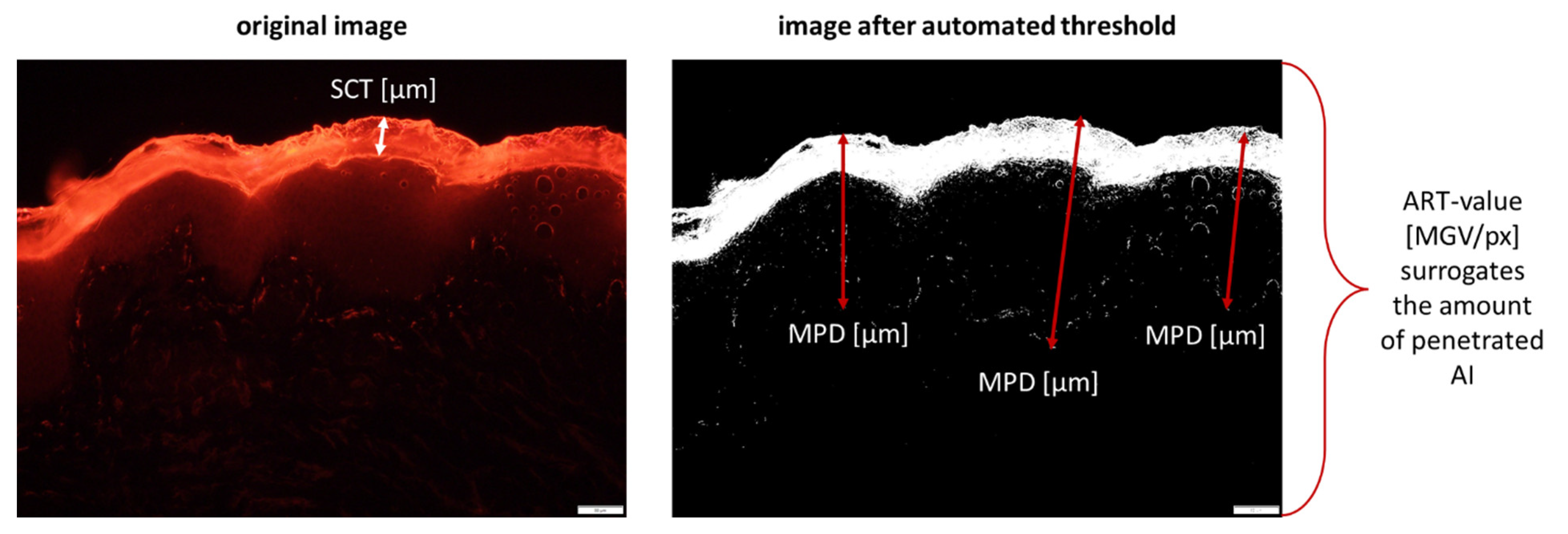 Pharmaceutics 13 02190 g002