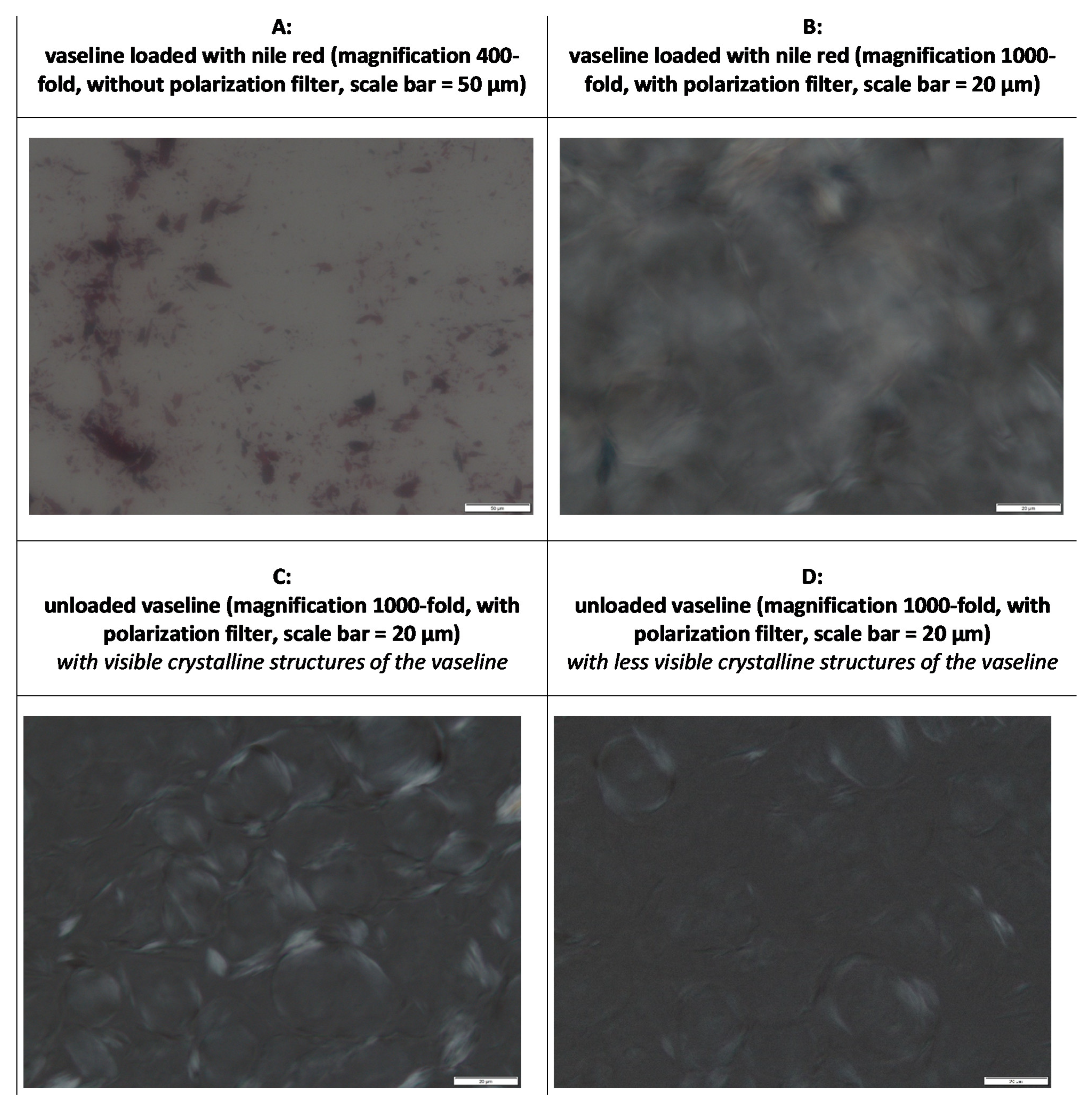 Pharmaceutics 13 02190 g003