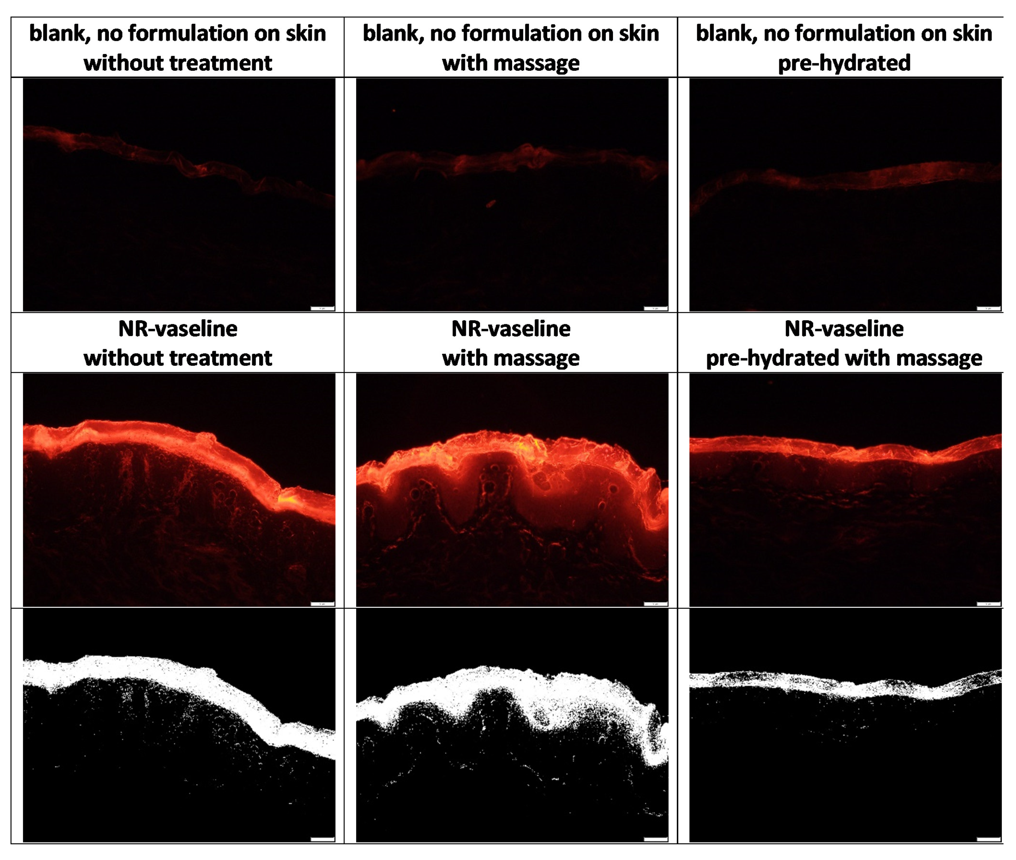 Pharmaceutics 13 02190 g005