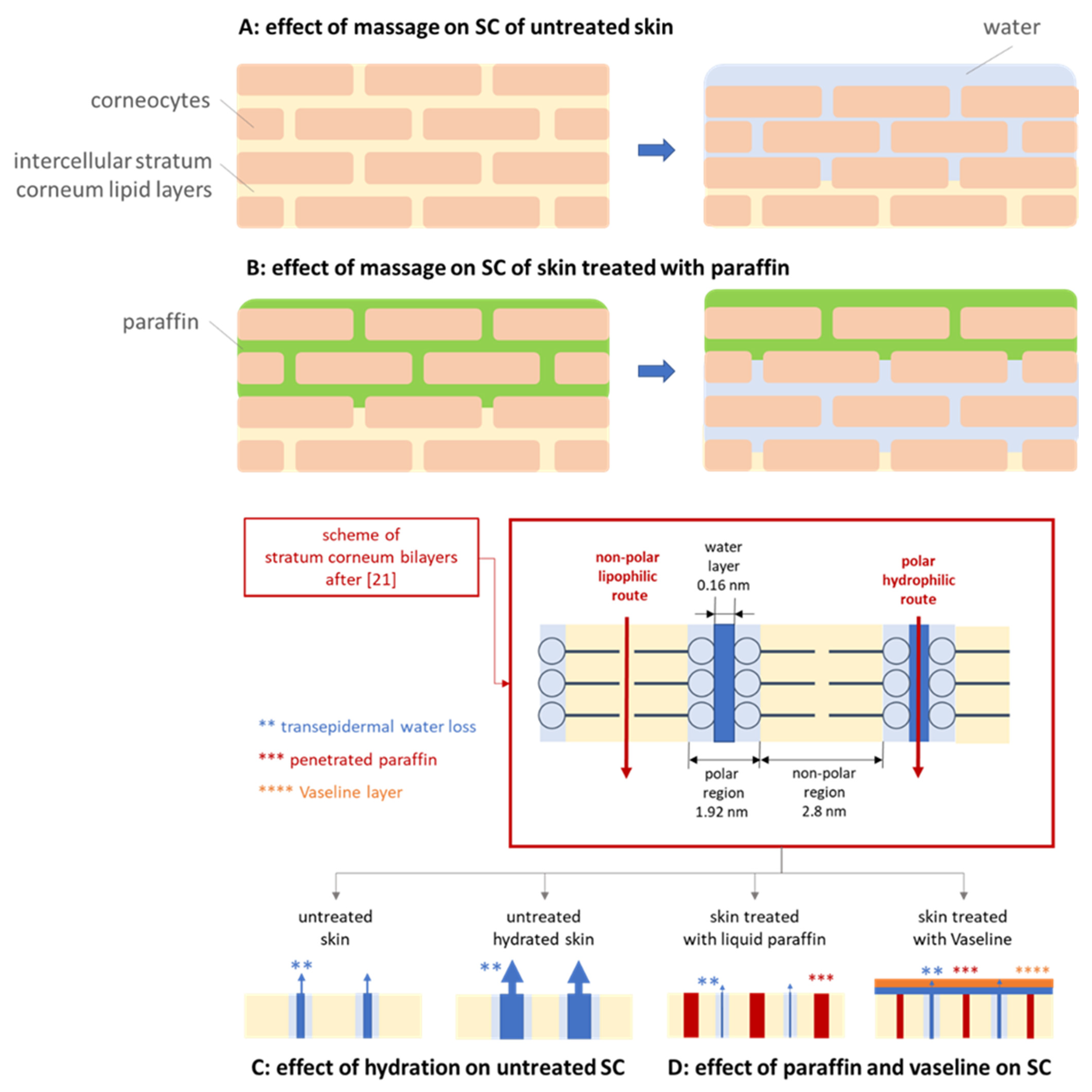 Pharmaceutics 13 02190 g009