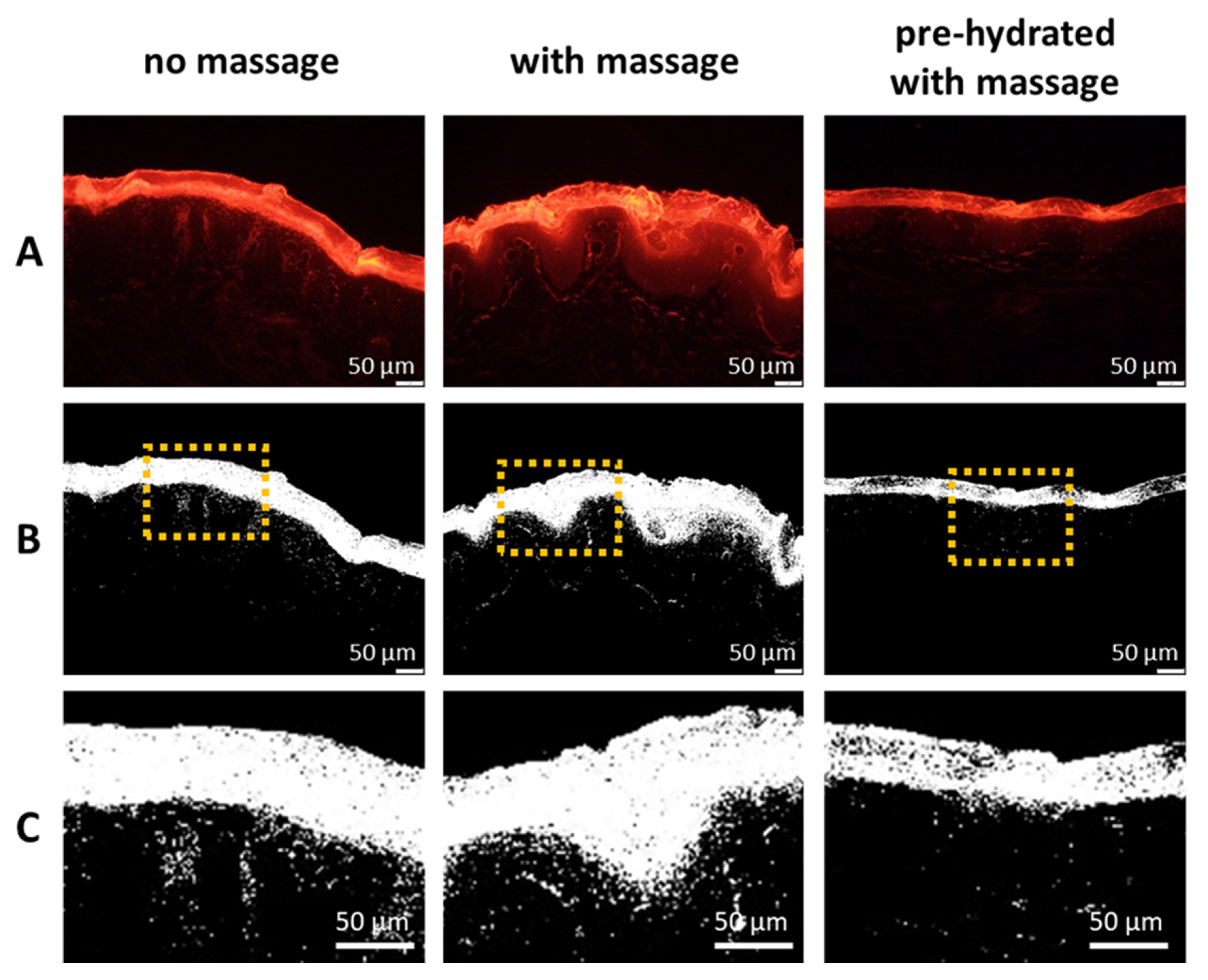 Pharmaceutics 13 02190 g010
