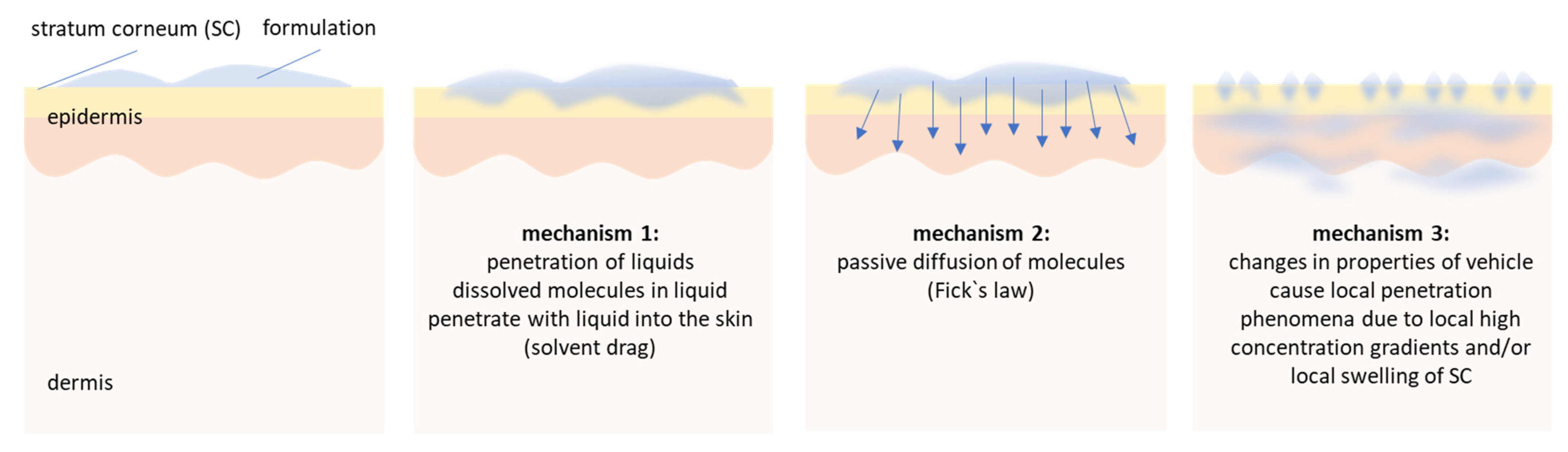 Pharmaceutics 13 02190 g013