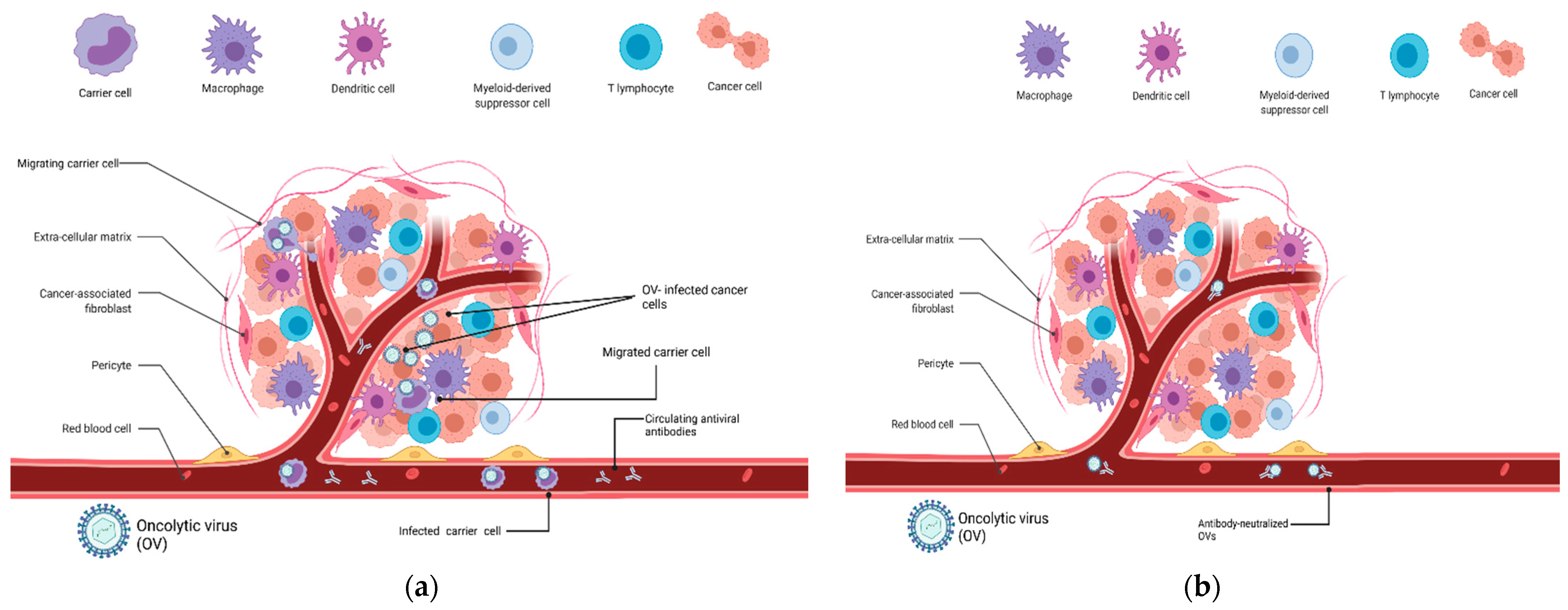 Pharmaceutics 13 02192 g001