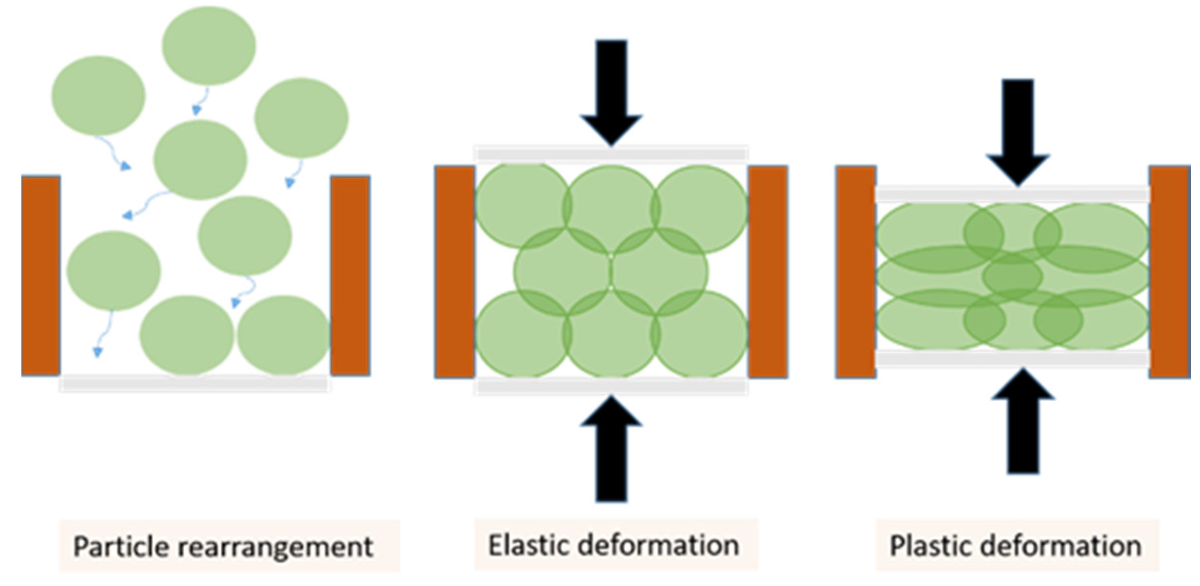 Pharmaceutics 13 02194 g001