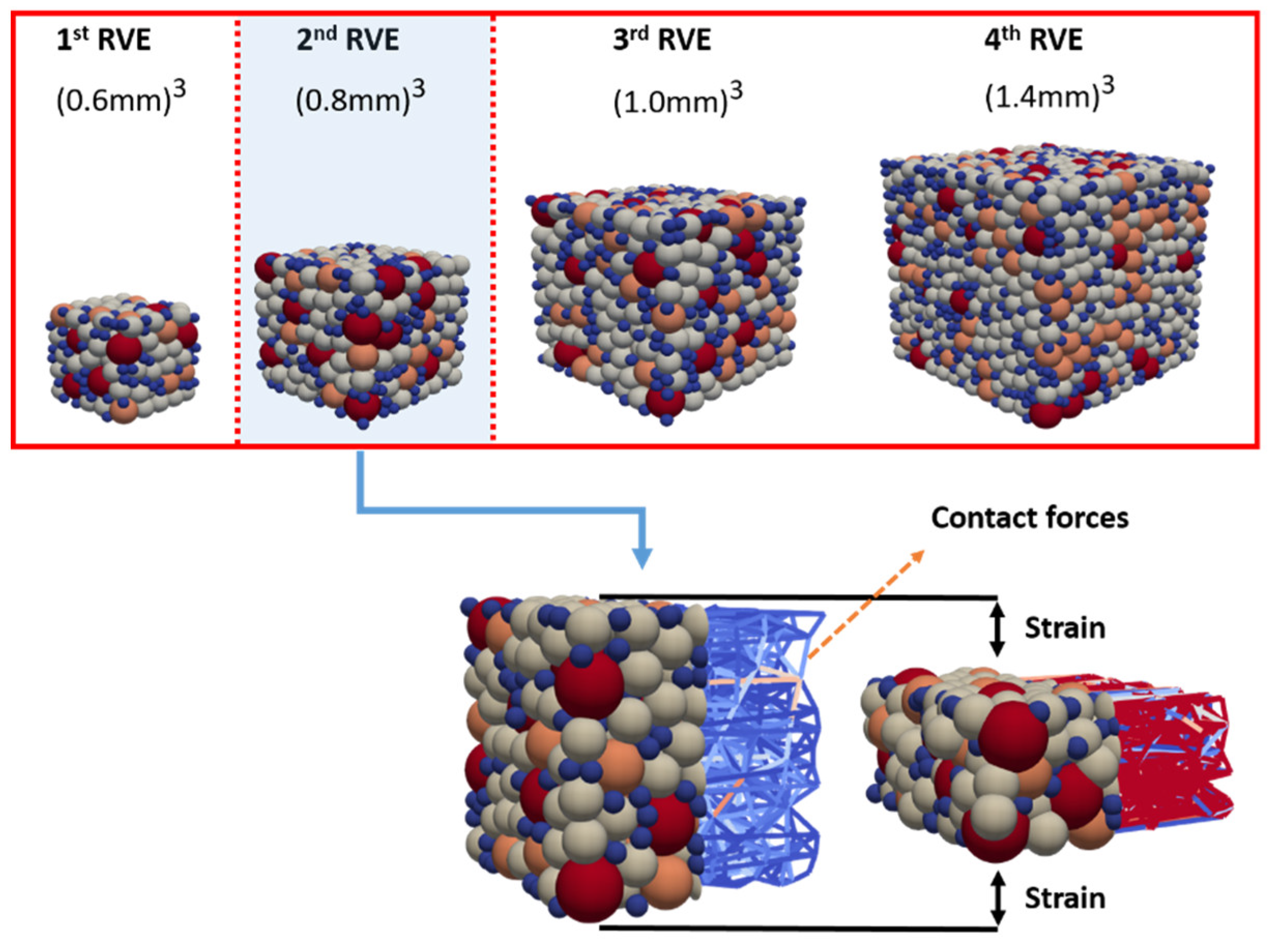 Pharmaceutics 13 02194 g005
