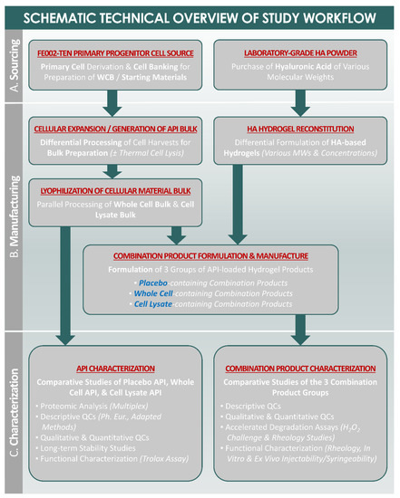 Pharmaceutics 13 02196 g0a1
