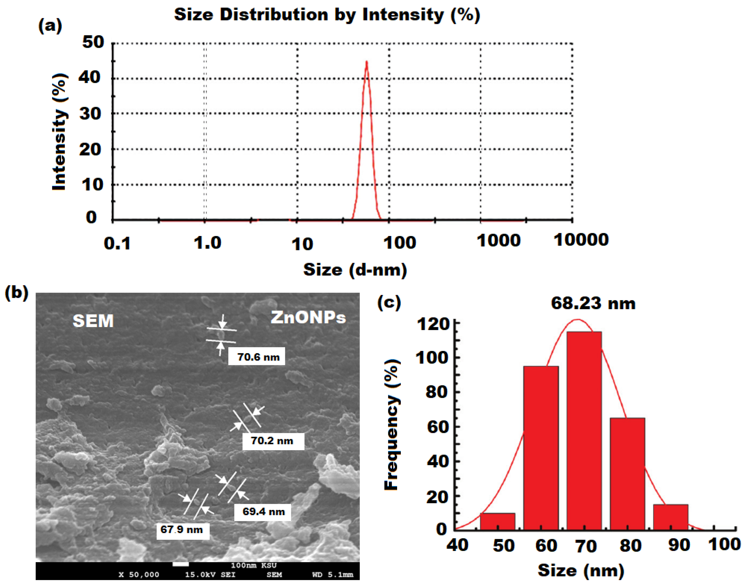 Pharmaceutics 13 02197 g004