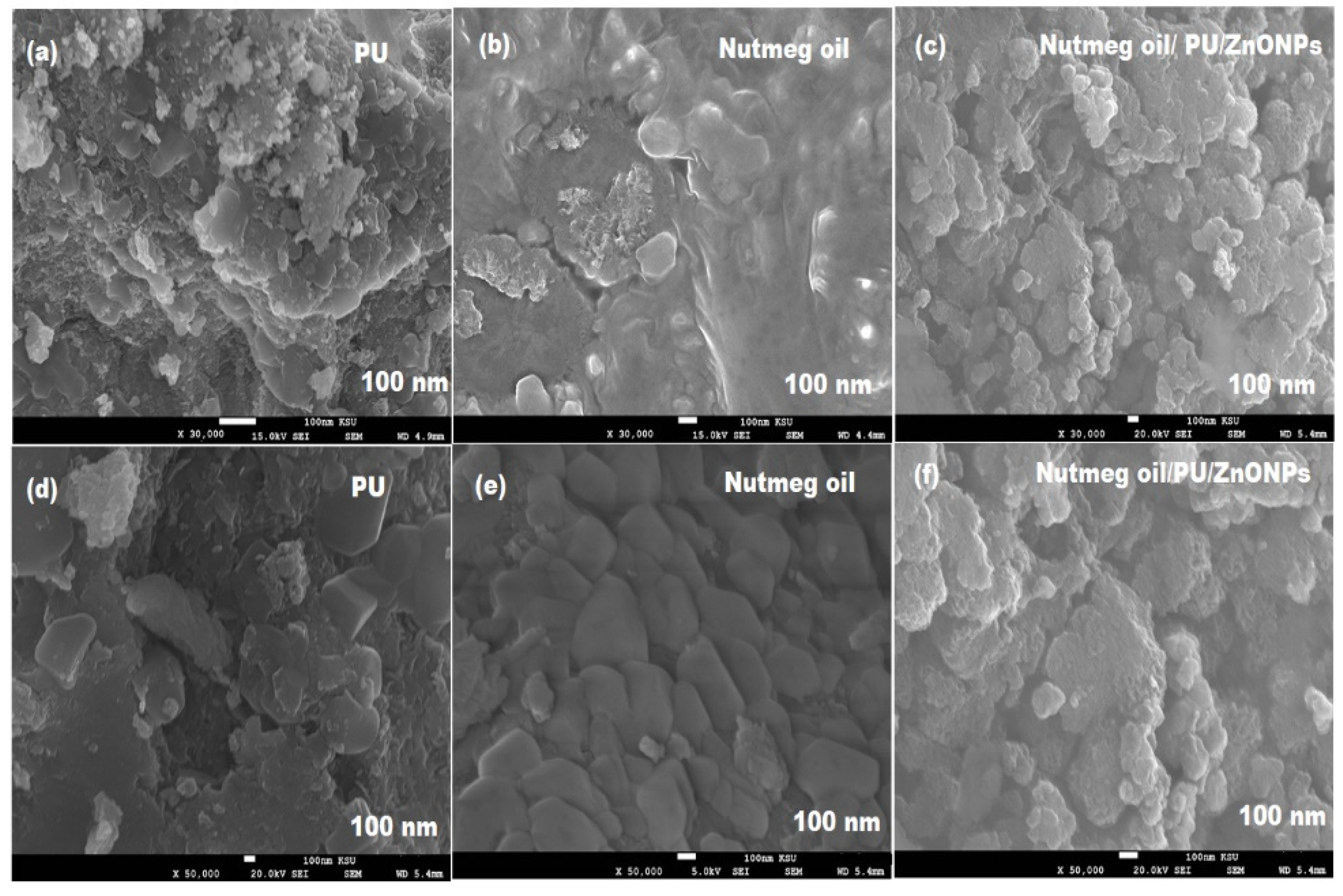 Pharmaceutics 13 02197 g006
