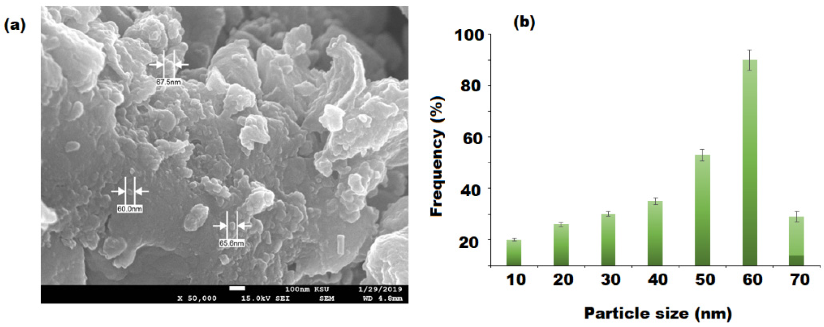 Pharmaceutics 13 02197 g007