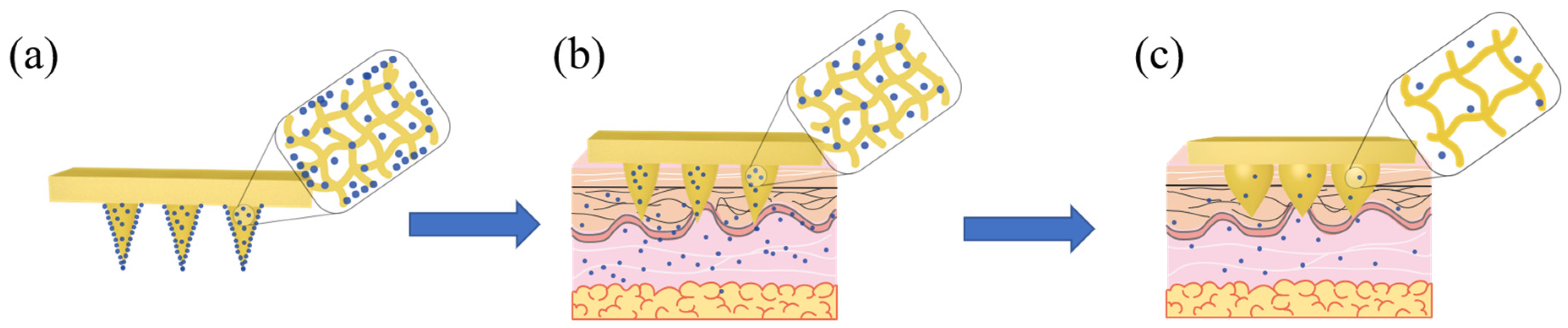 Pharmaceutics 13 02198 g012