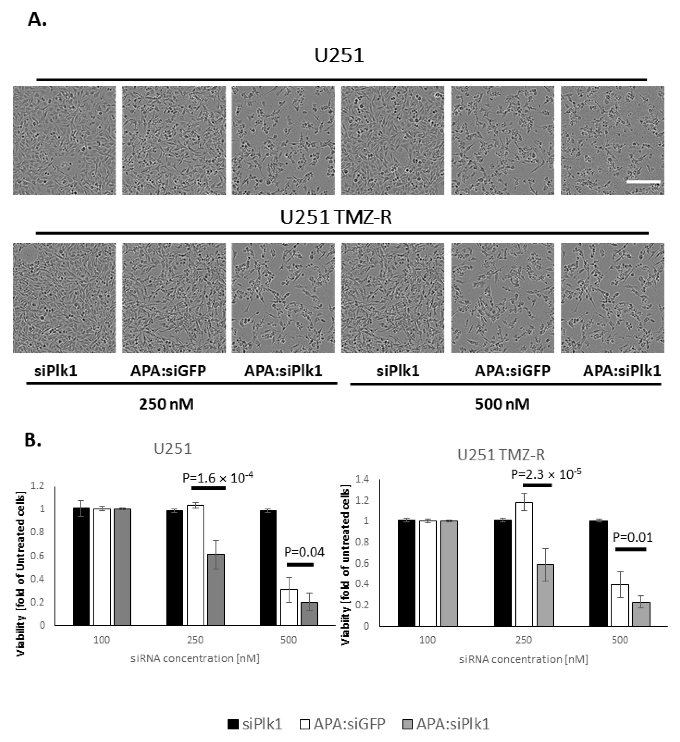 Pharmaceutics 13 02199 g003
