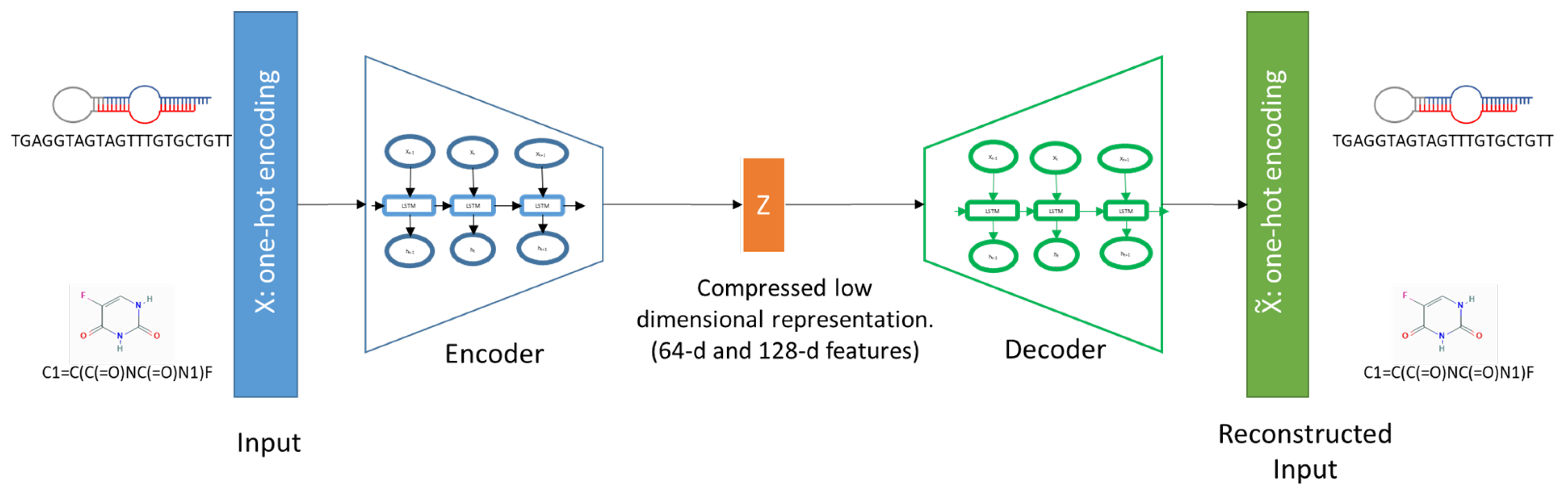 Pharmaceutics 14 00003 g001