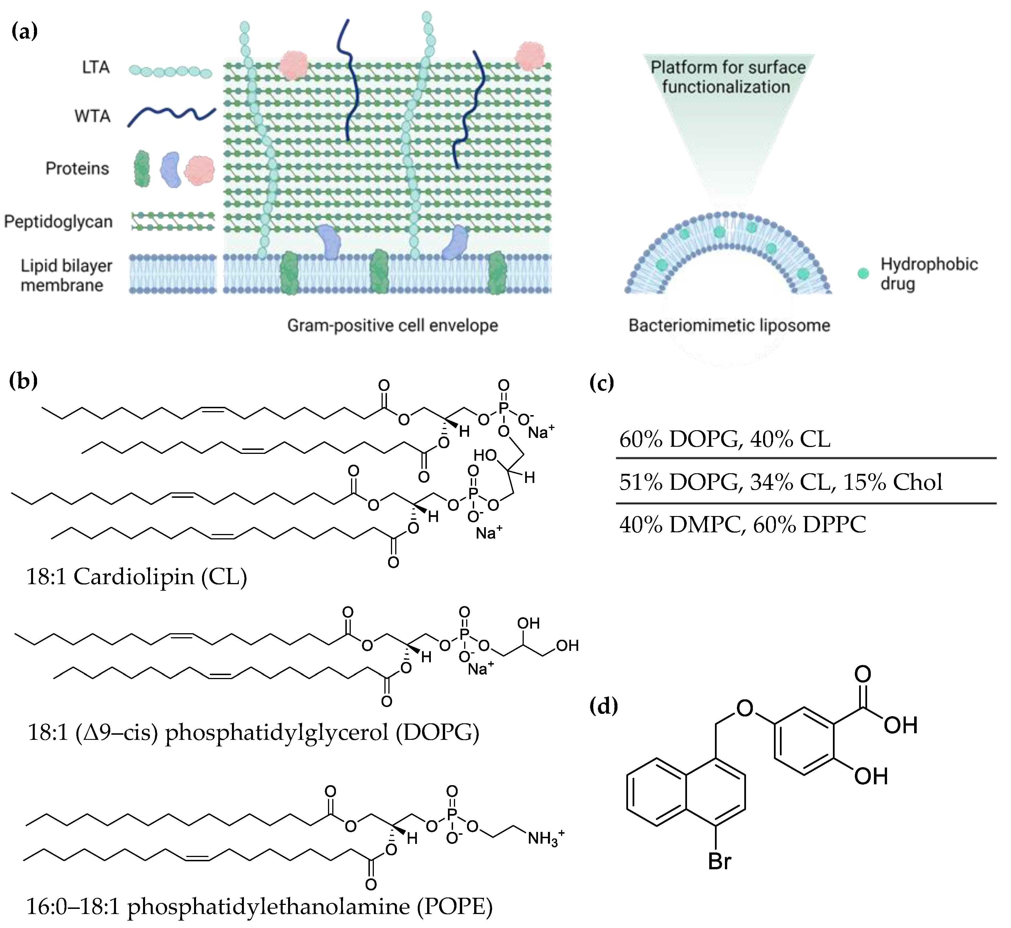Pharmaceutics 14 00004 g001
