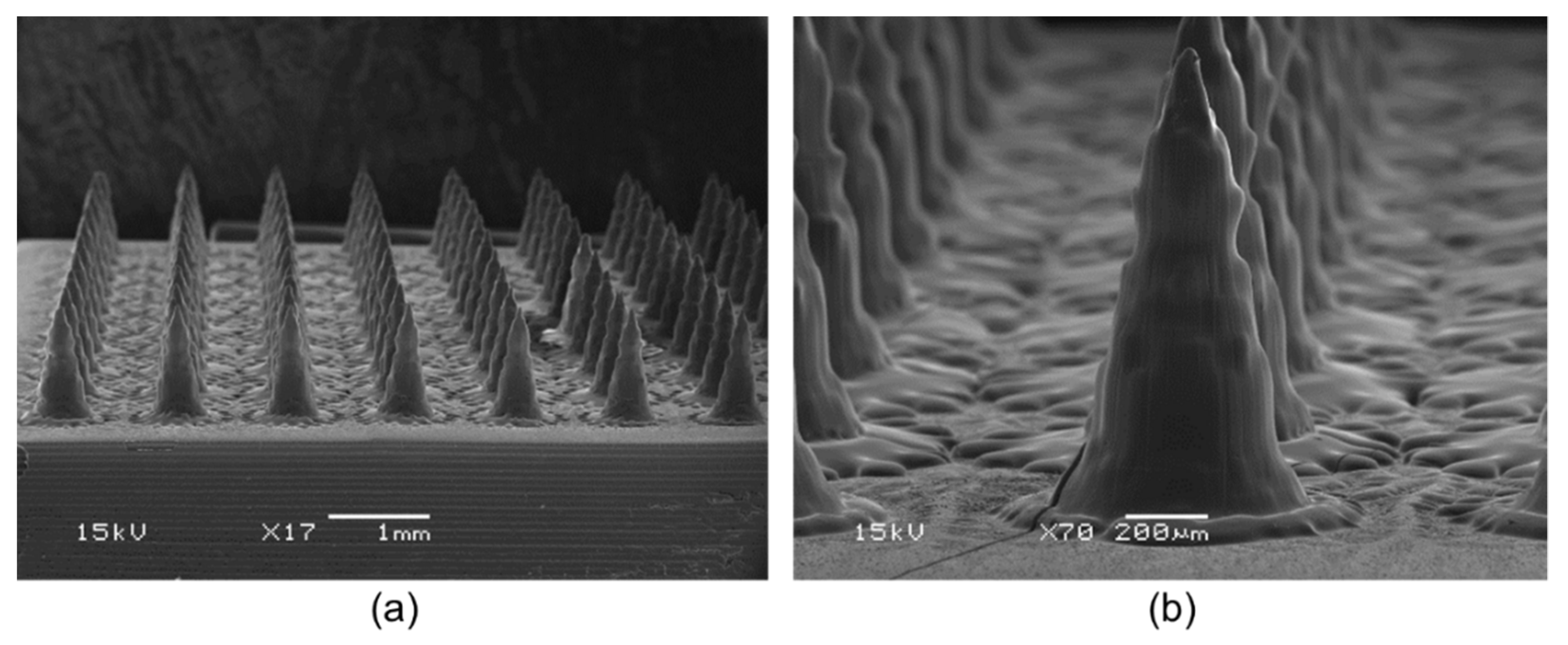 Pharmaceutics 14 00005 g003