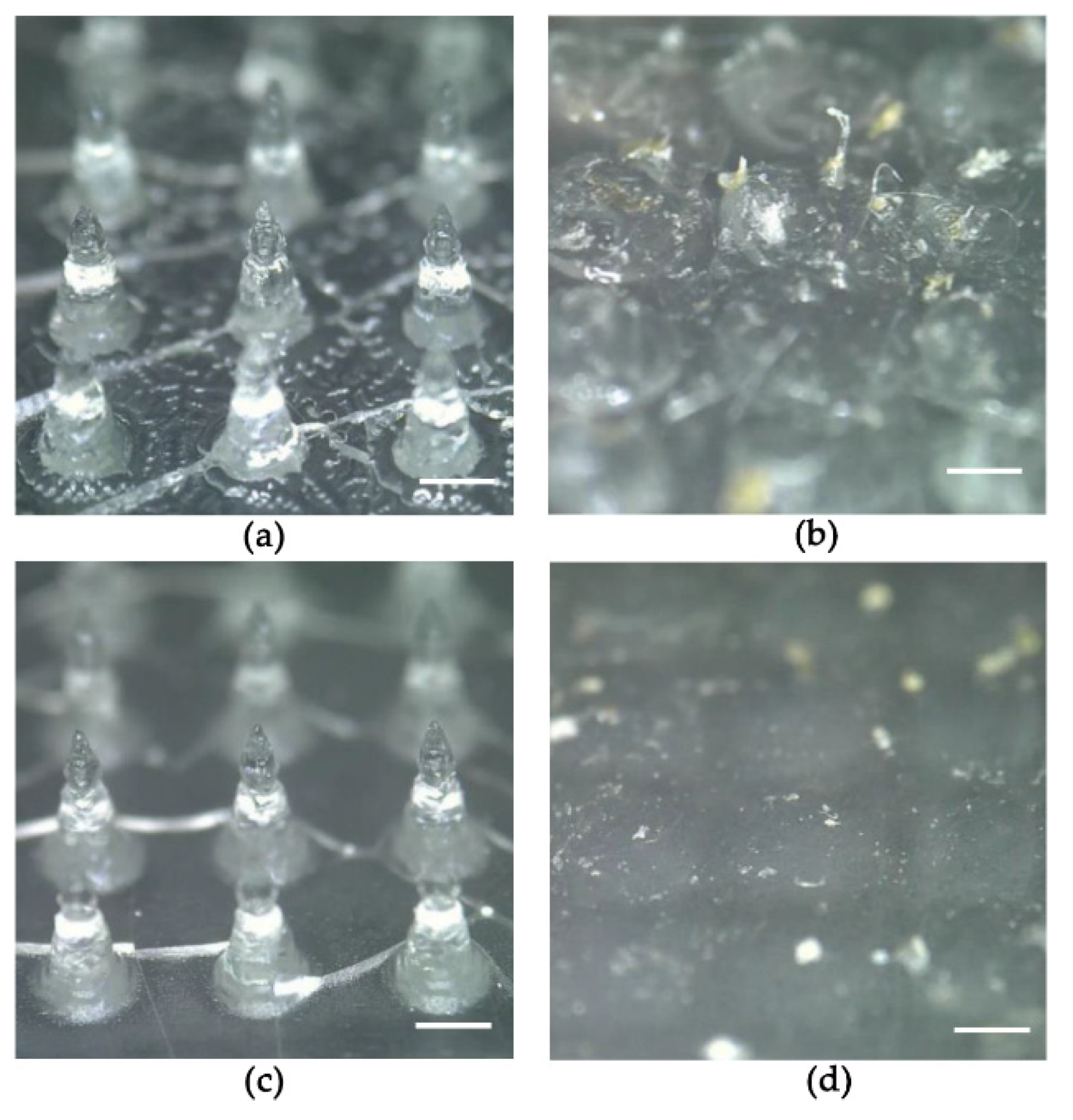 Pharmaceutics 14 00005 g004