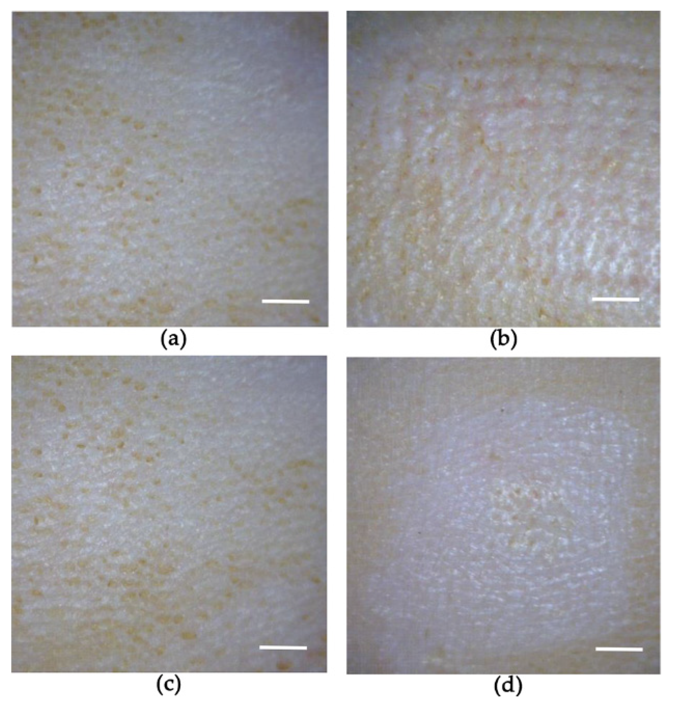Pharmaceutics 14 00005 g005