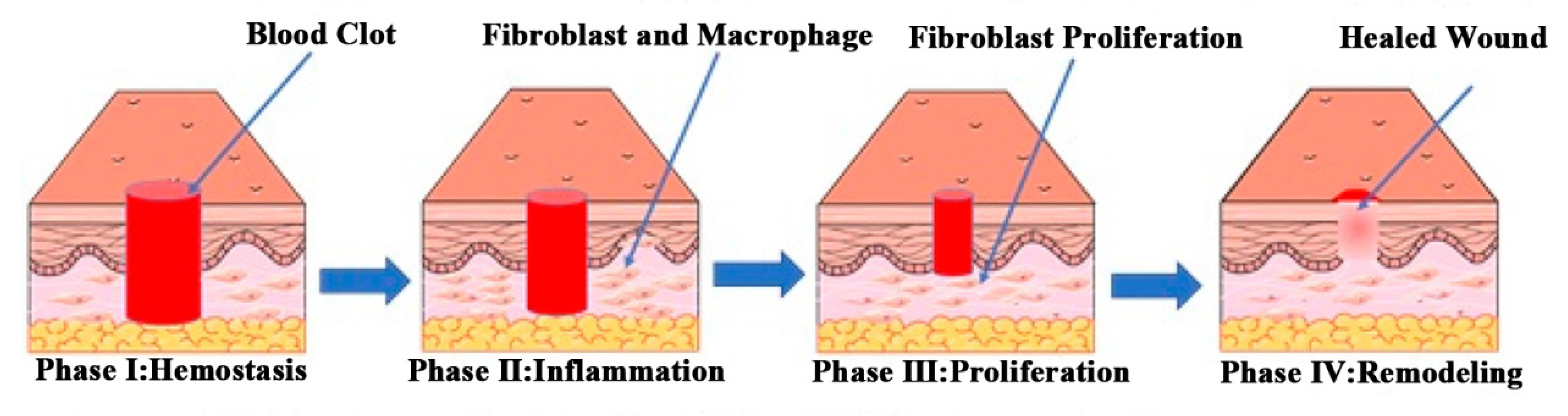 Pharmaceutics 14 00006 g001