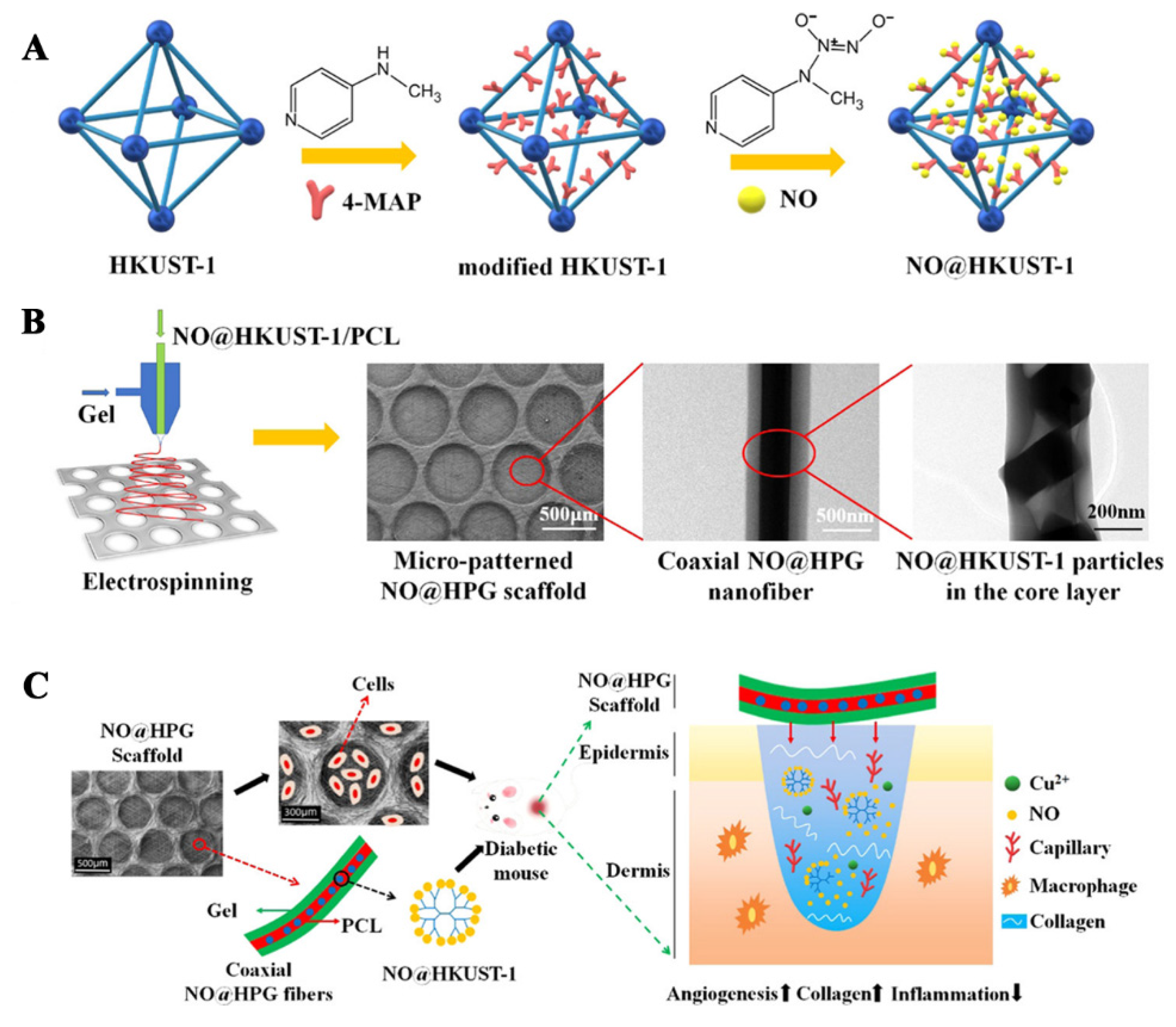 Pharmaceutics 14 00006 g004