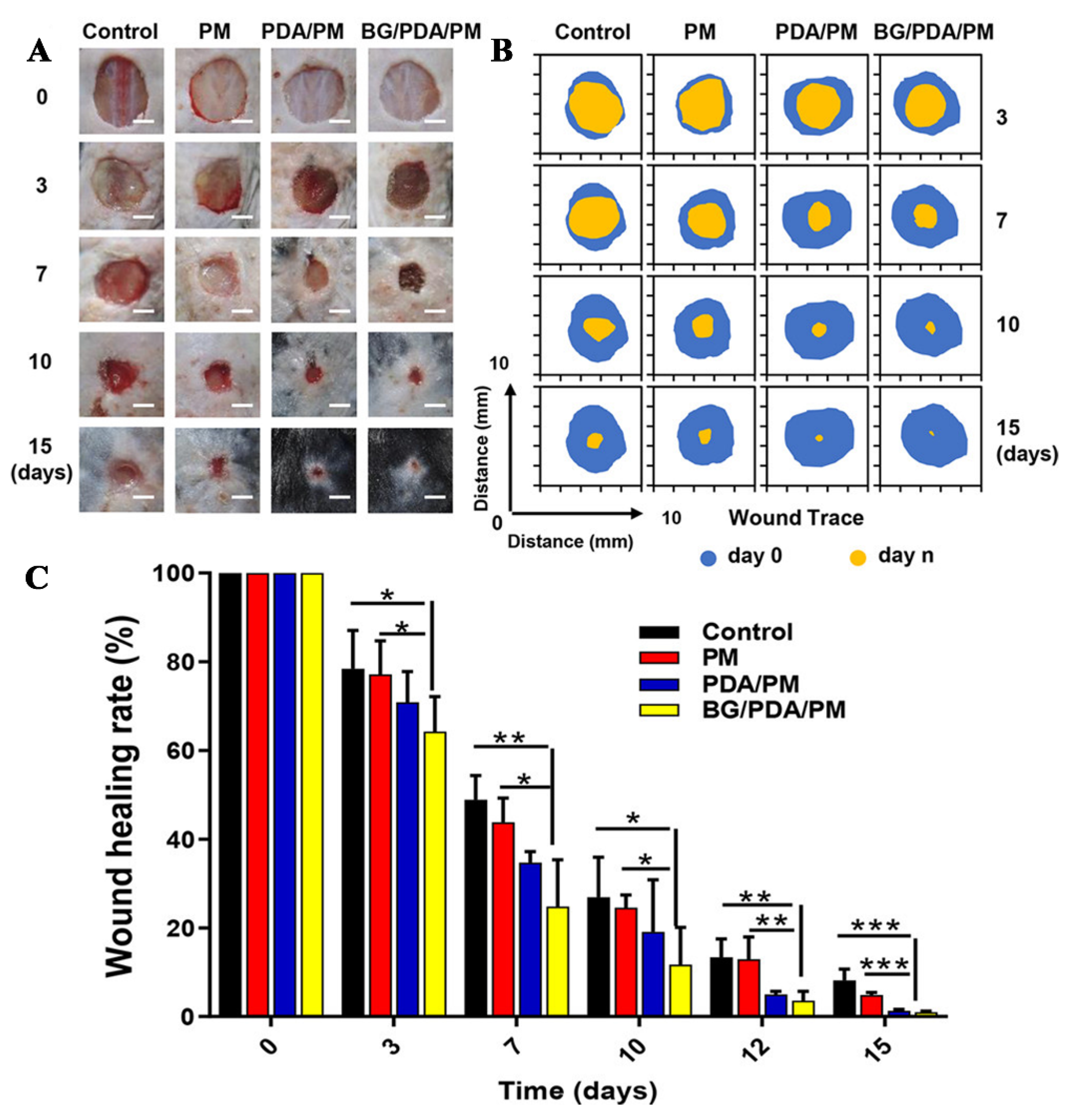 Pharmaceutics 14 00006 g005