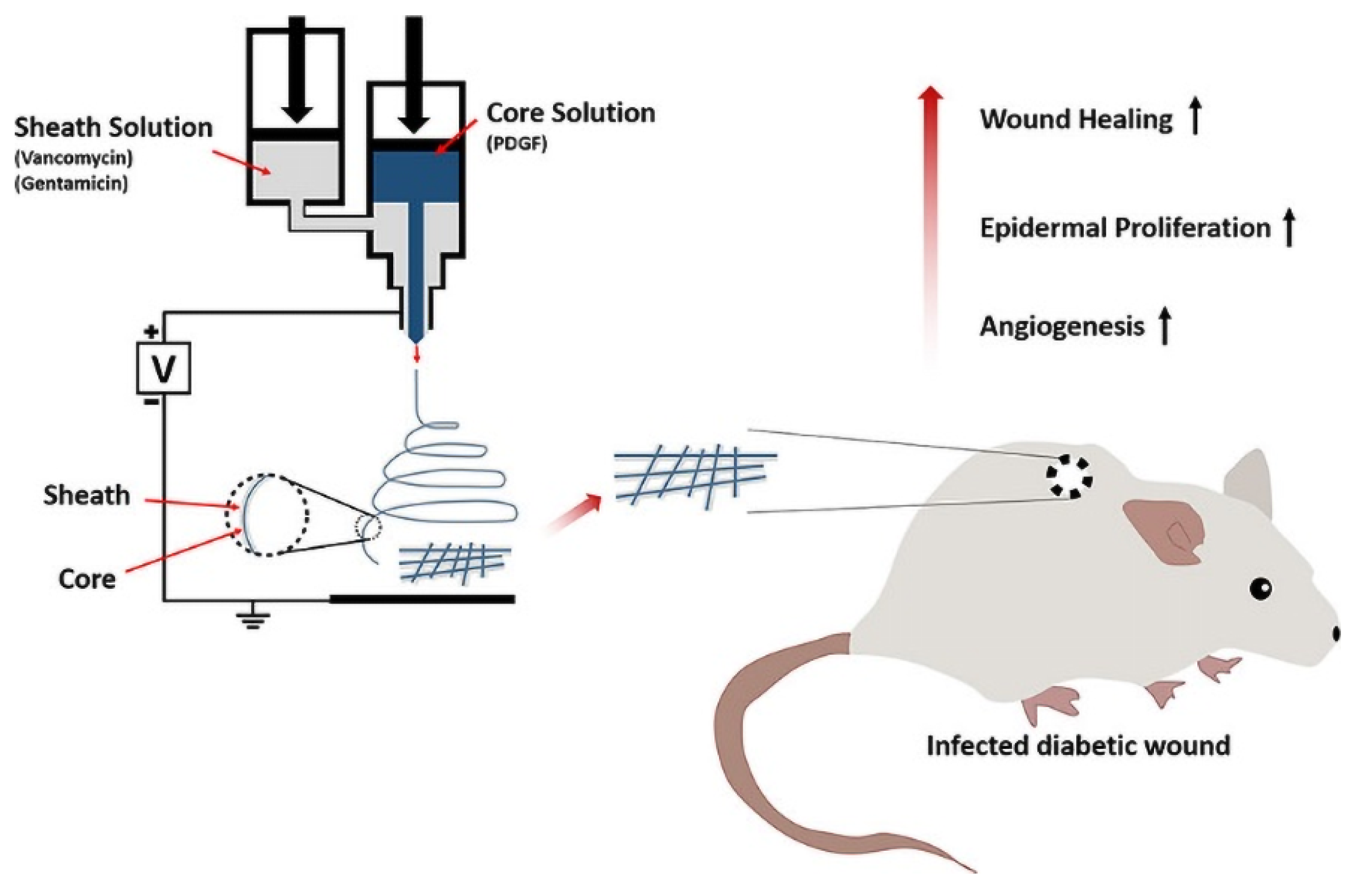 Pharmaceutics 14 00006 g007