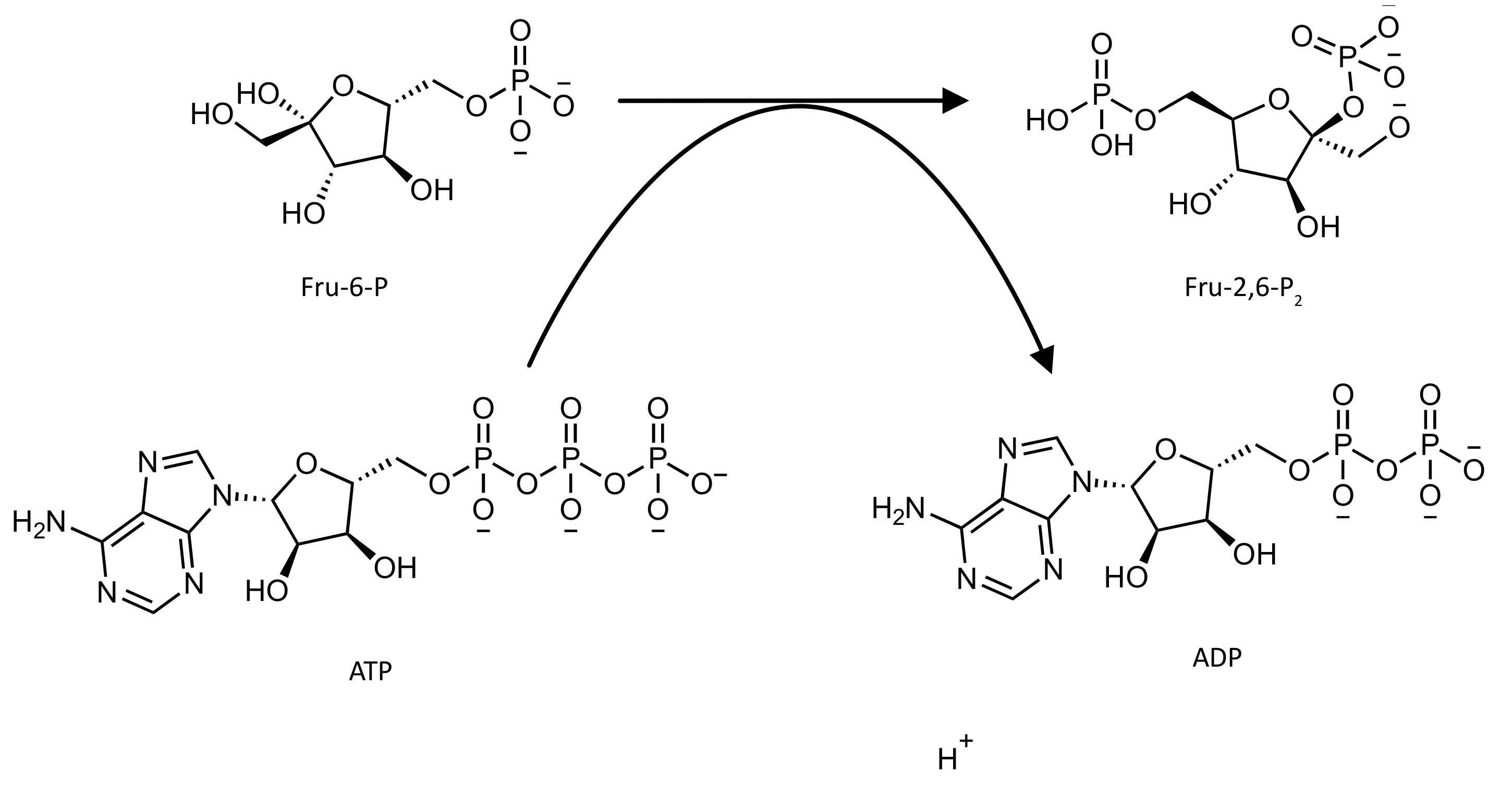 Pharmaceutics 14 00010 g001