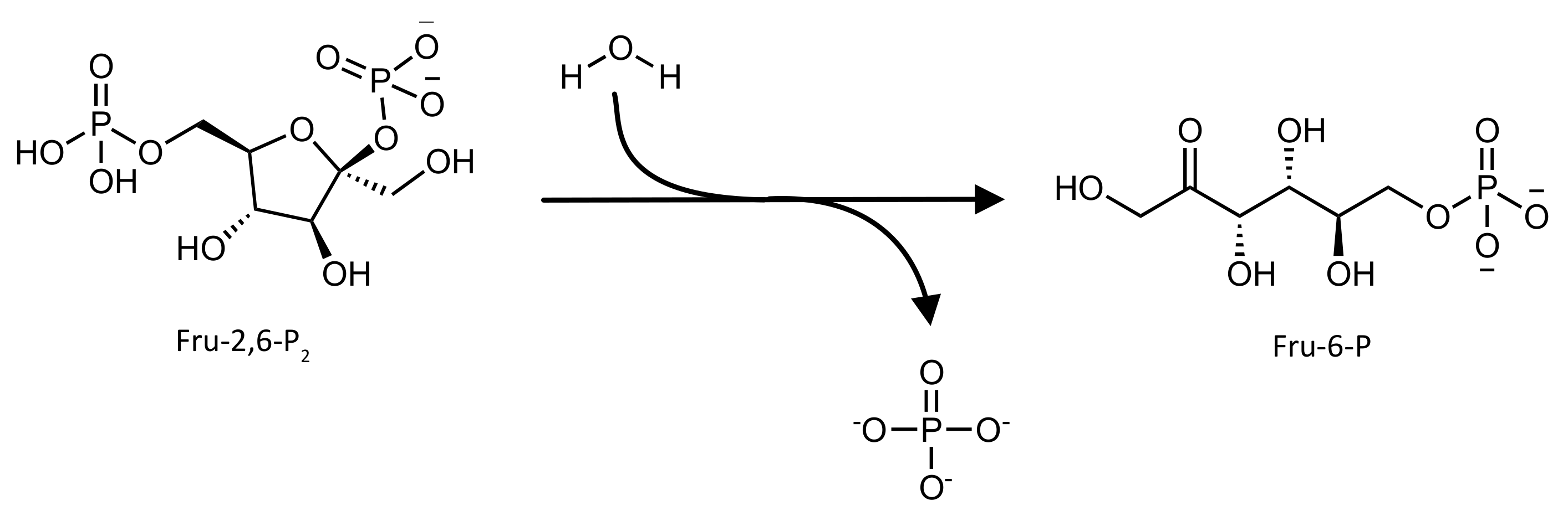 Pharmaceutics 14 00010 g002