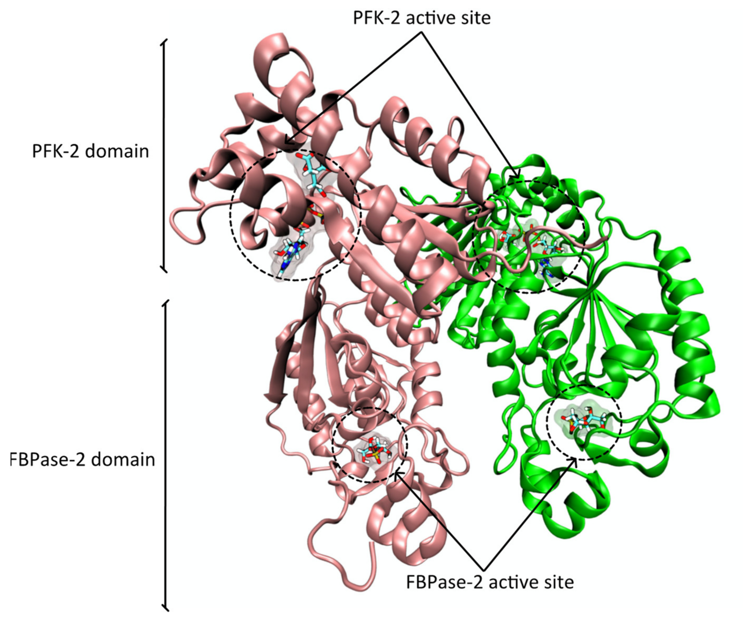 Pharmaceutics 14 00010 g003