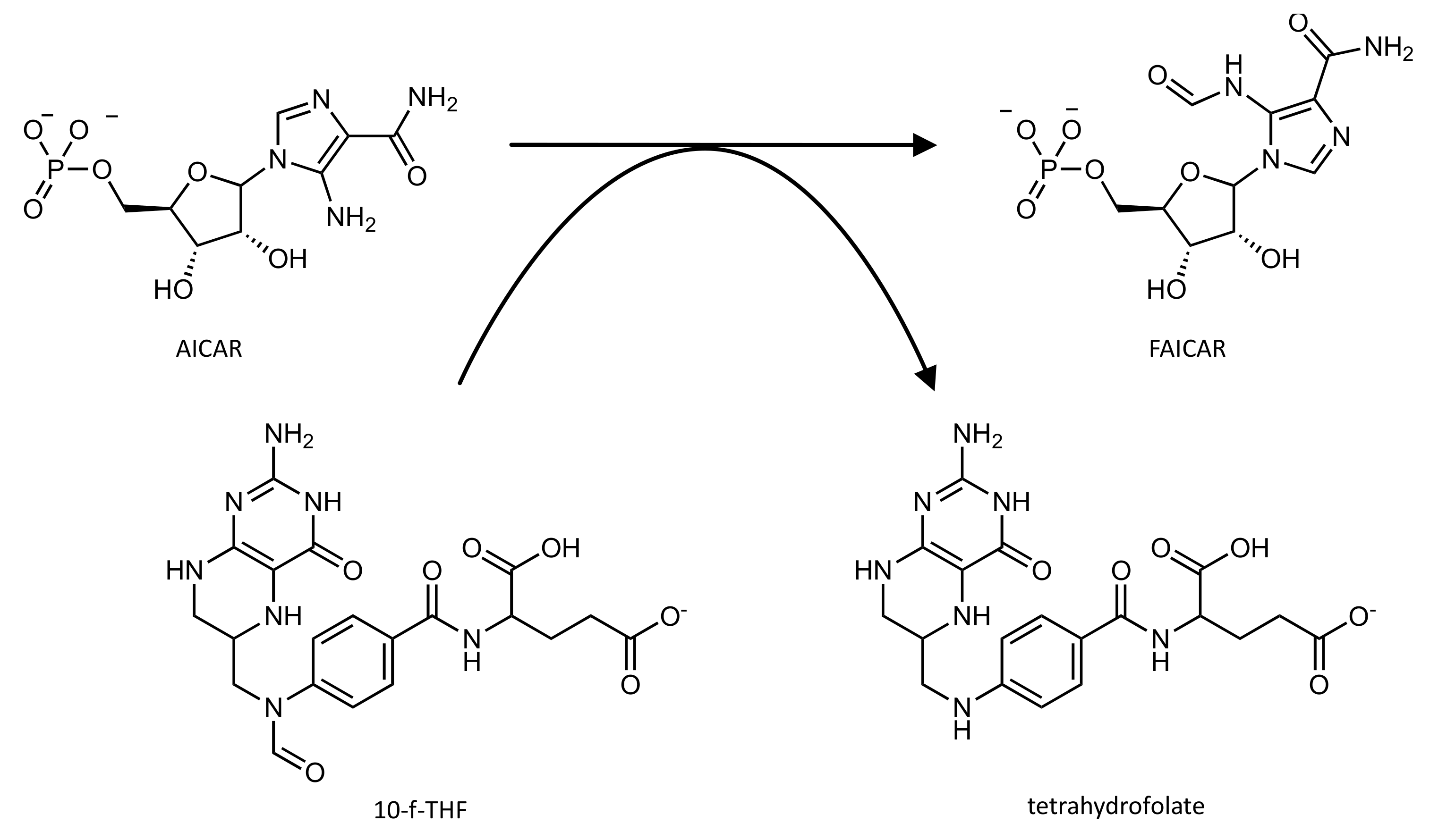 Pharmaceutics 14 00010 g005