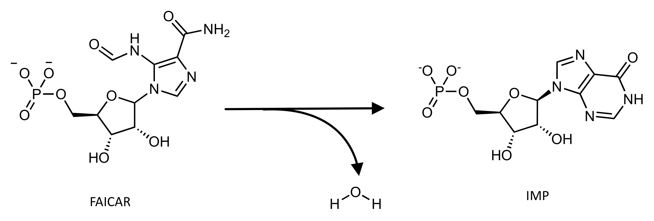 Pharmaceutics 14 00010 g006