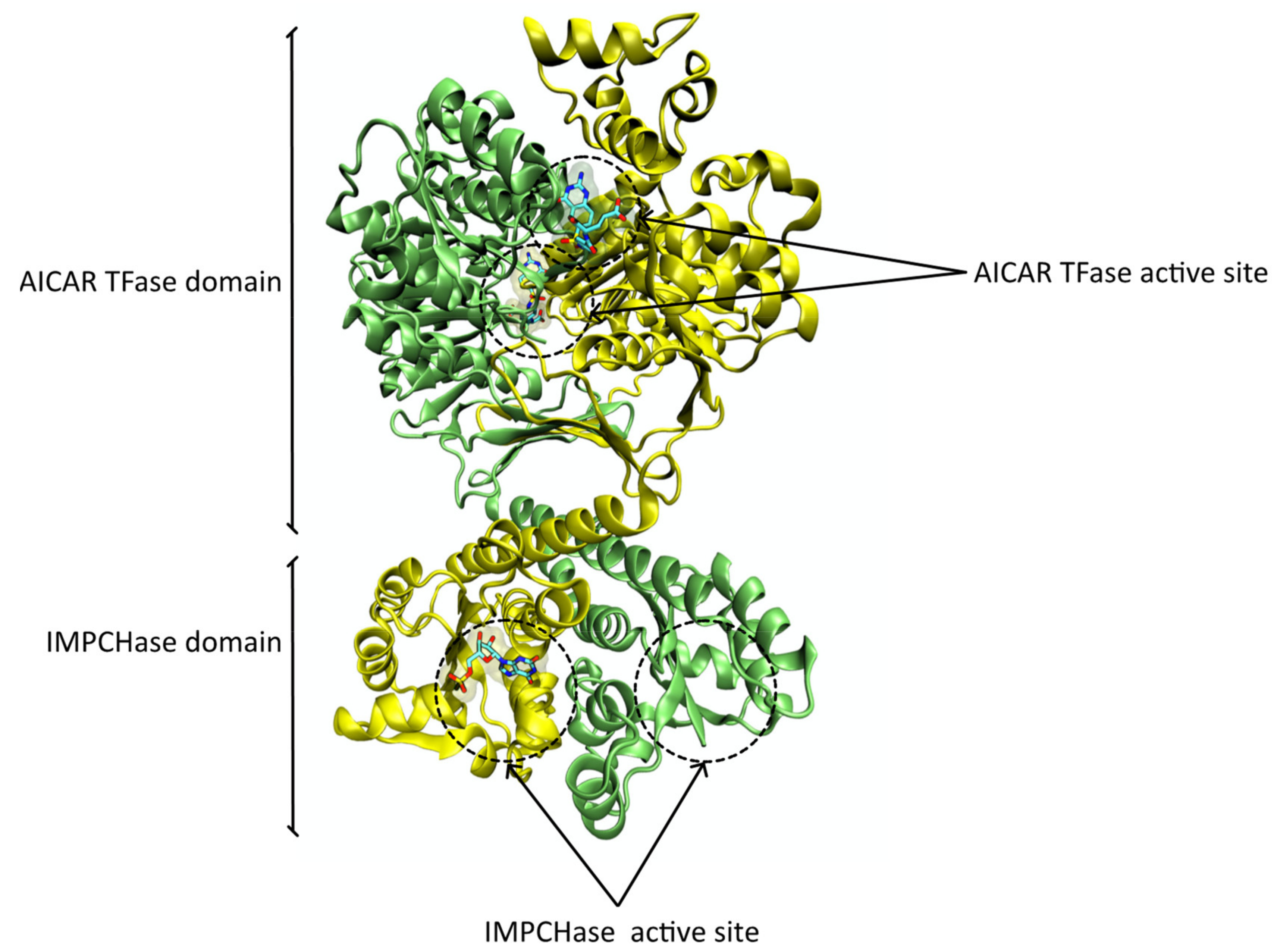Pharmaceutics 14 00010 g007