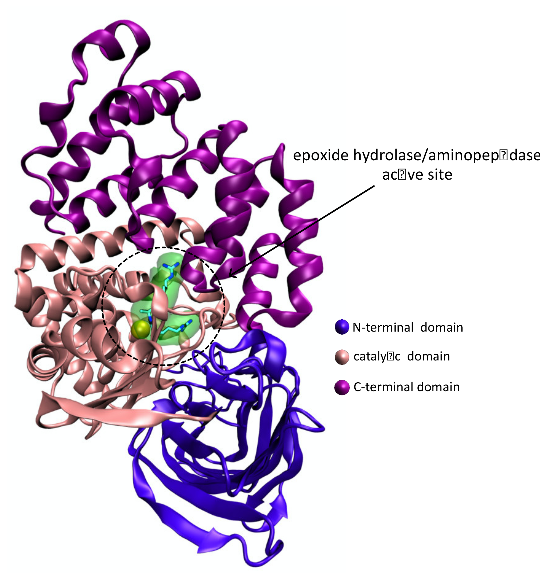 Pharmaceutics 14 00010 g011